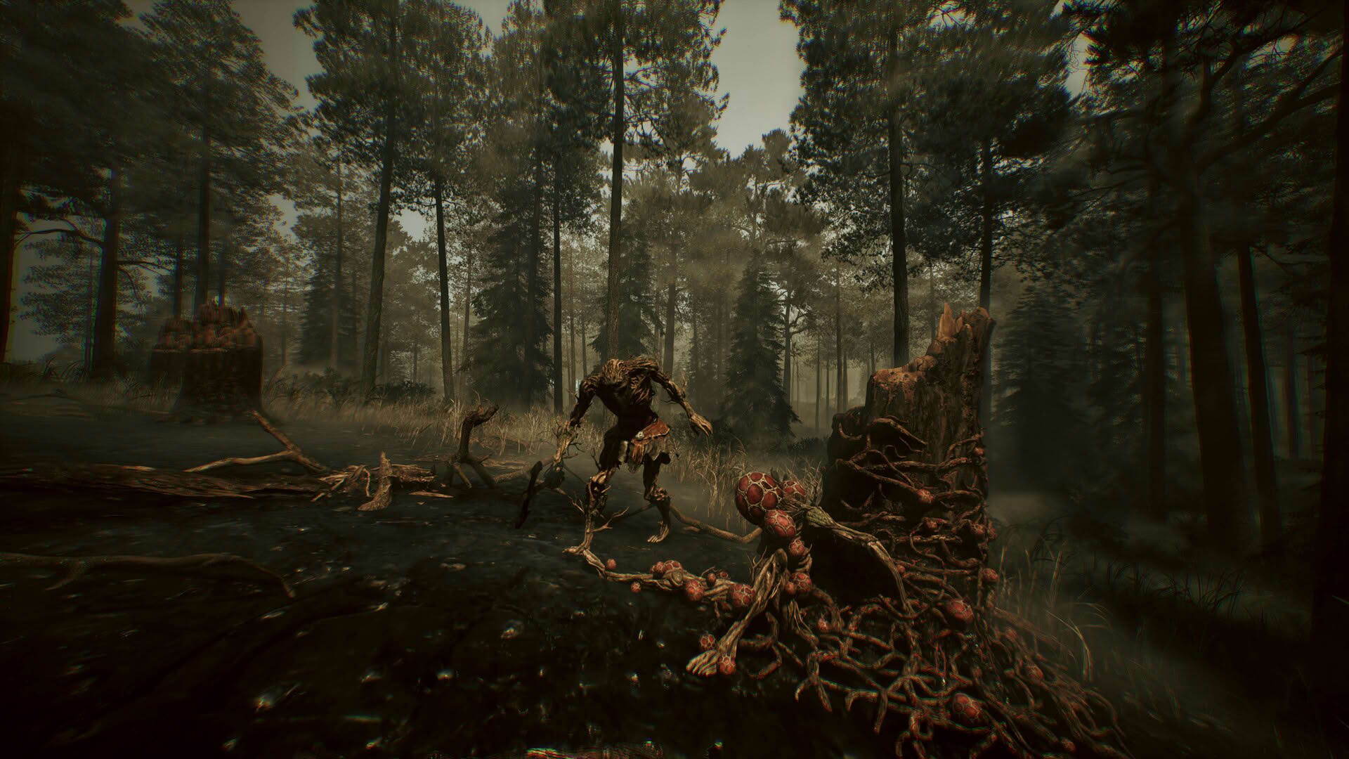 Screenshot for Among the Trolls