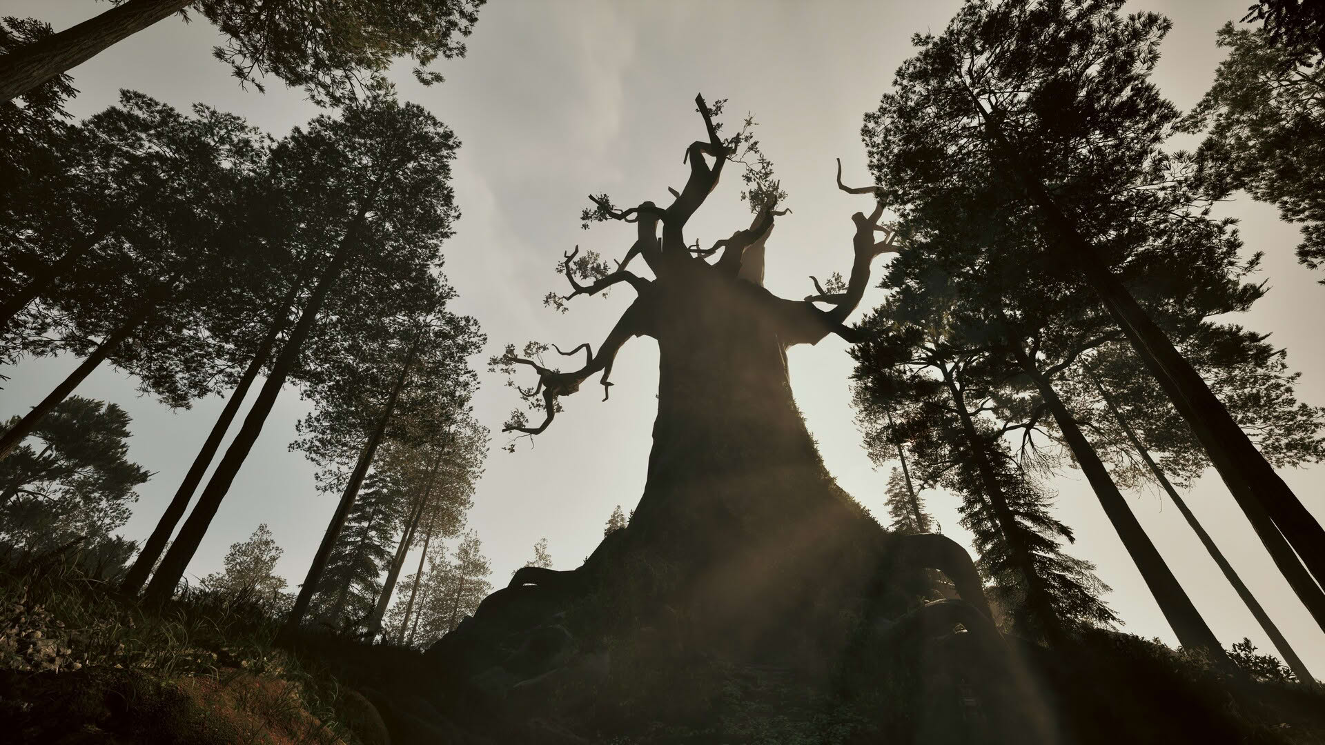 Screenshot for Among the Trolls