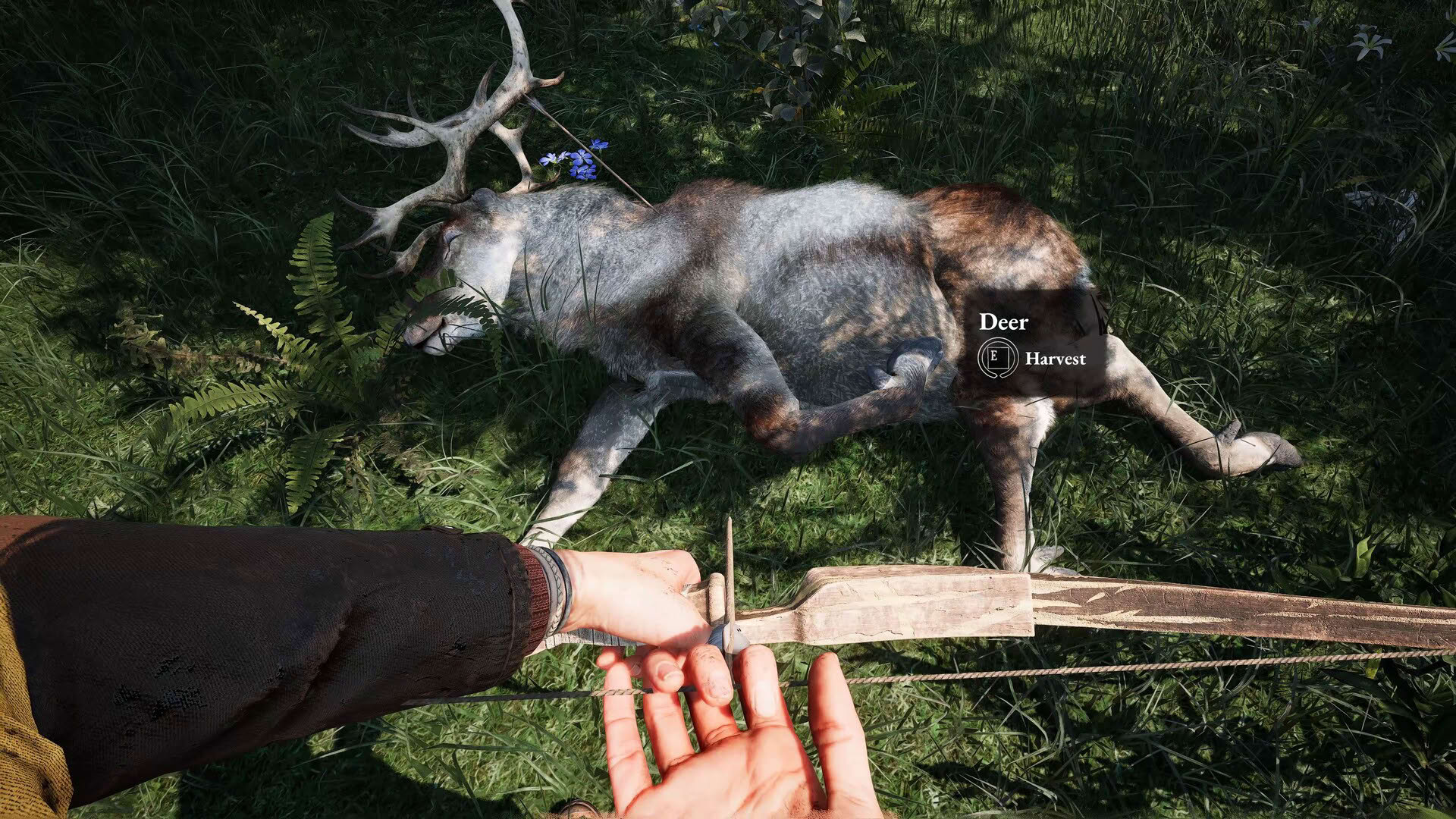 Screenshot for Among the Trolls