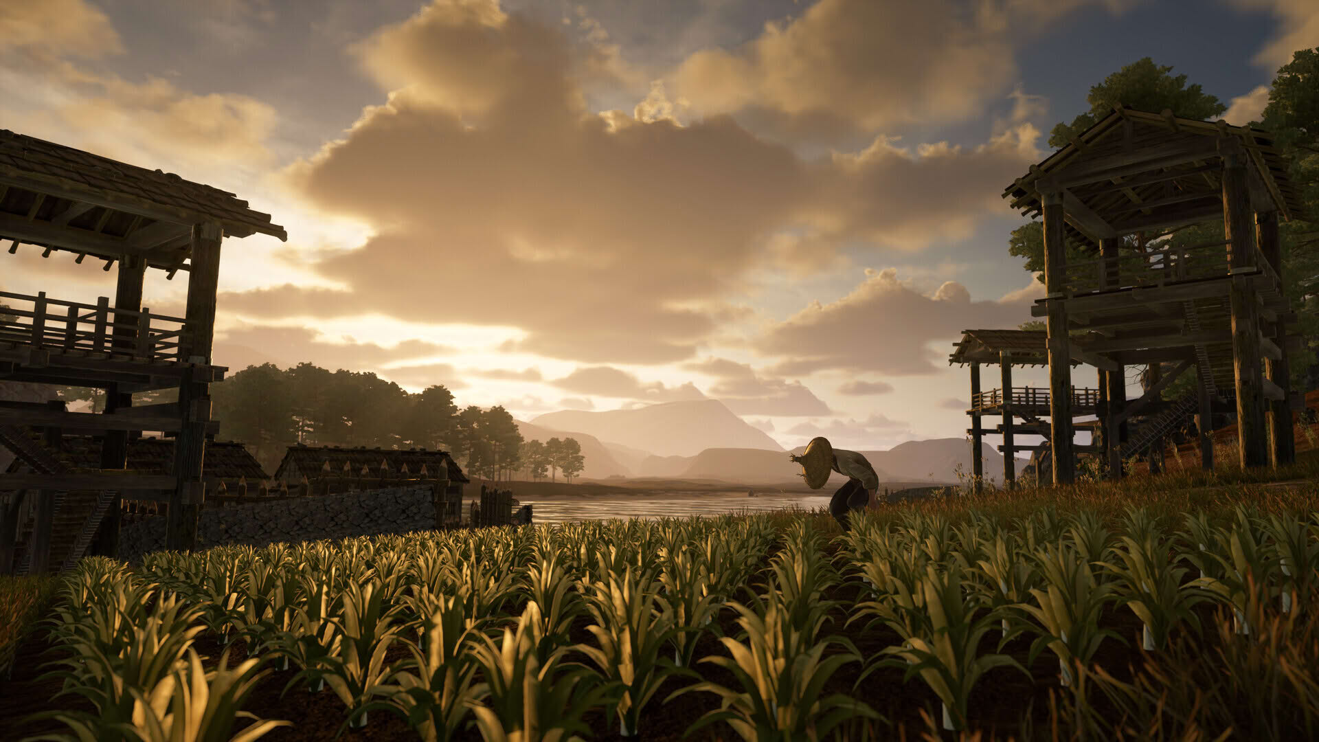 Screenshot for Sengoku Dynasty