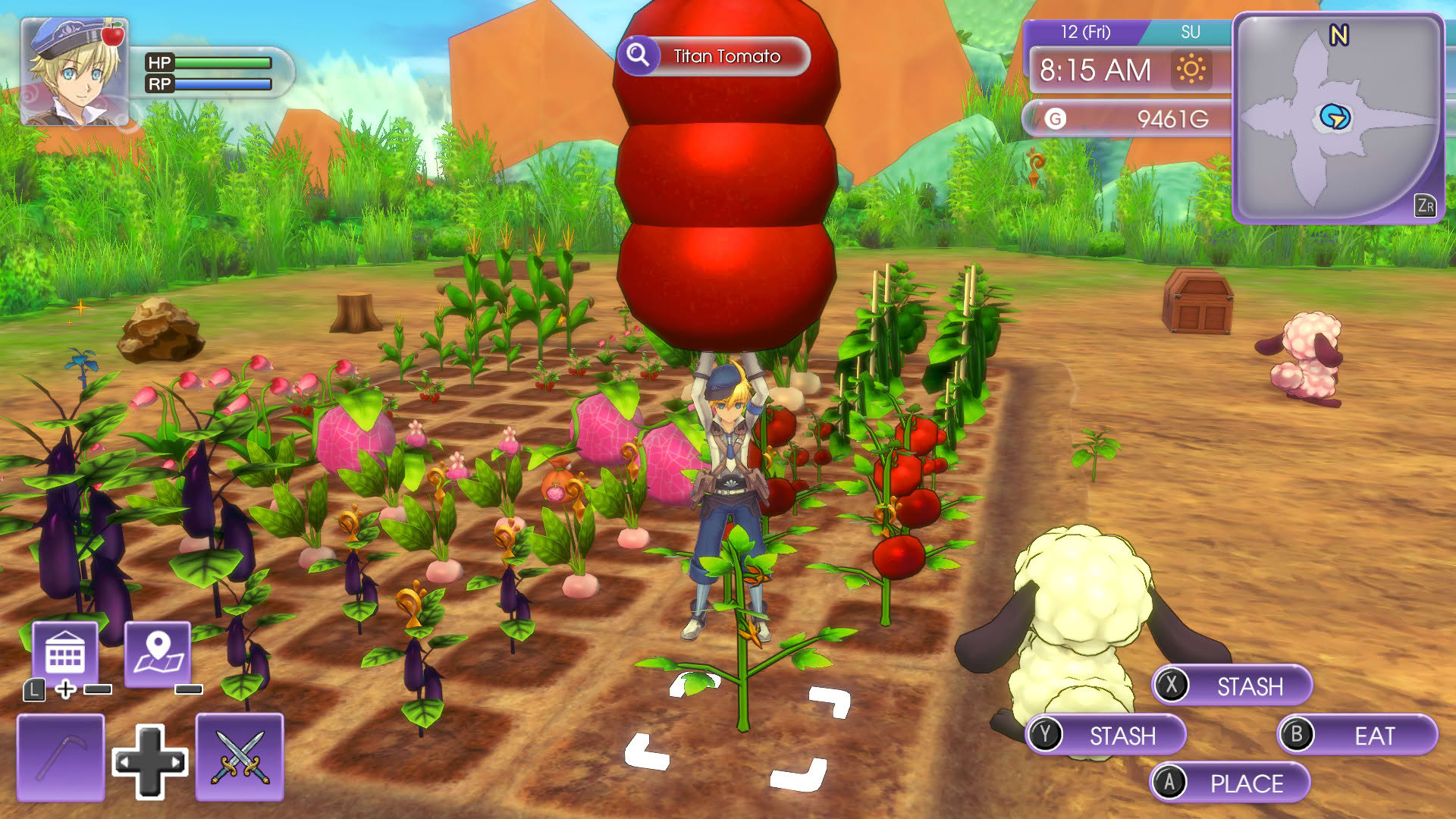 Screenshot for Rune Factory 5