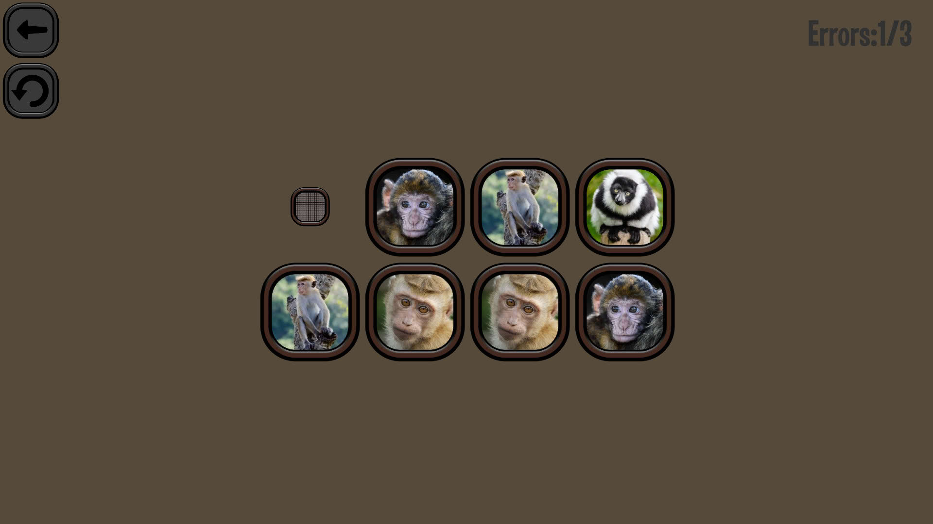 Screenshot for Animals Memory: Monkeys