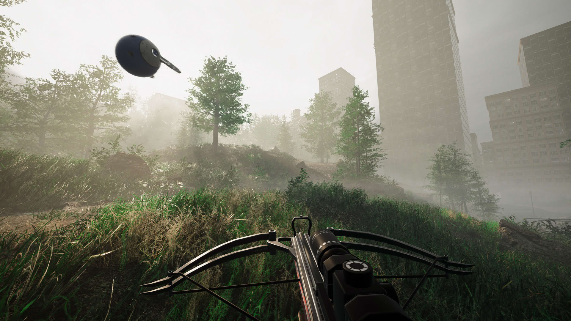 Screenshot for Remoteness