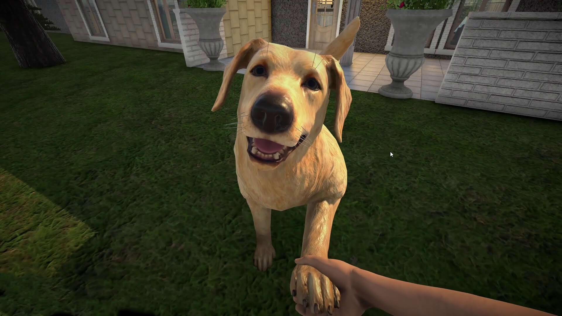 Screenshot for Pets Hotel