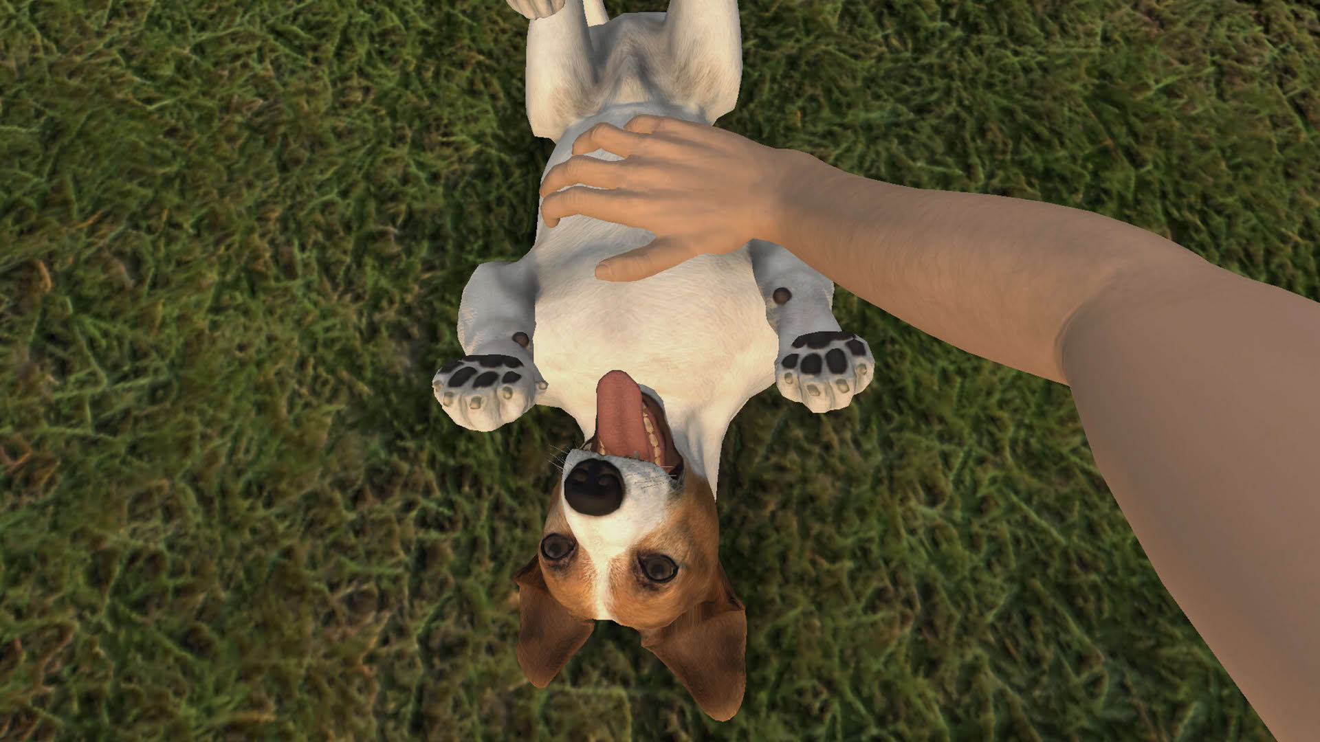 Screenshot for Pets Hotel