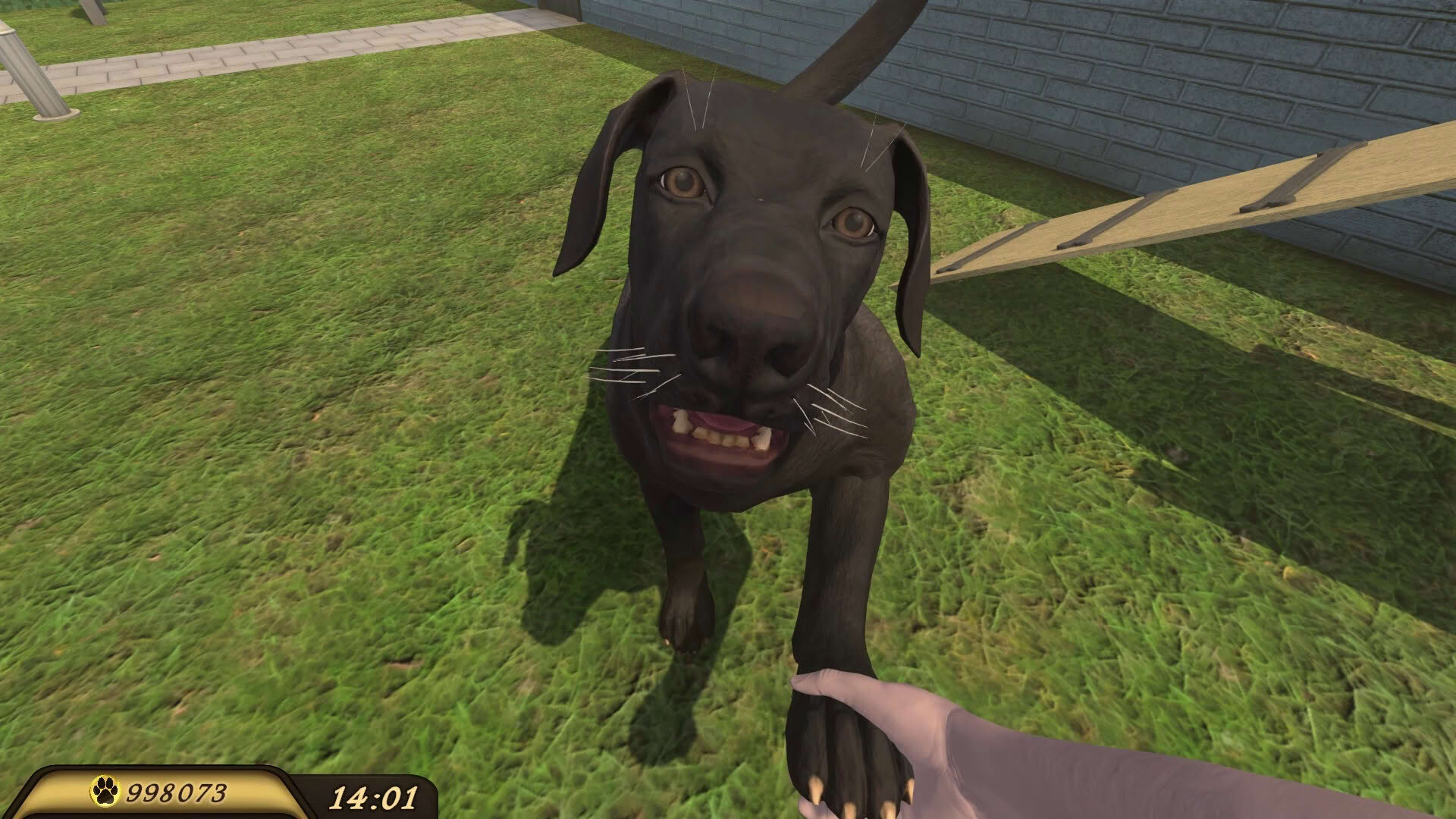 Screenshot for Pets Hotel