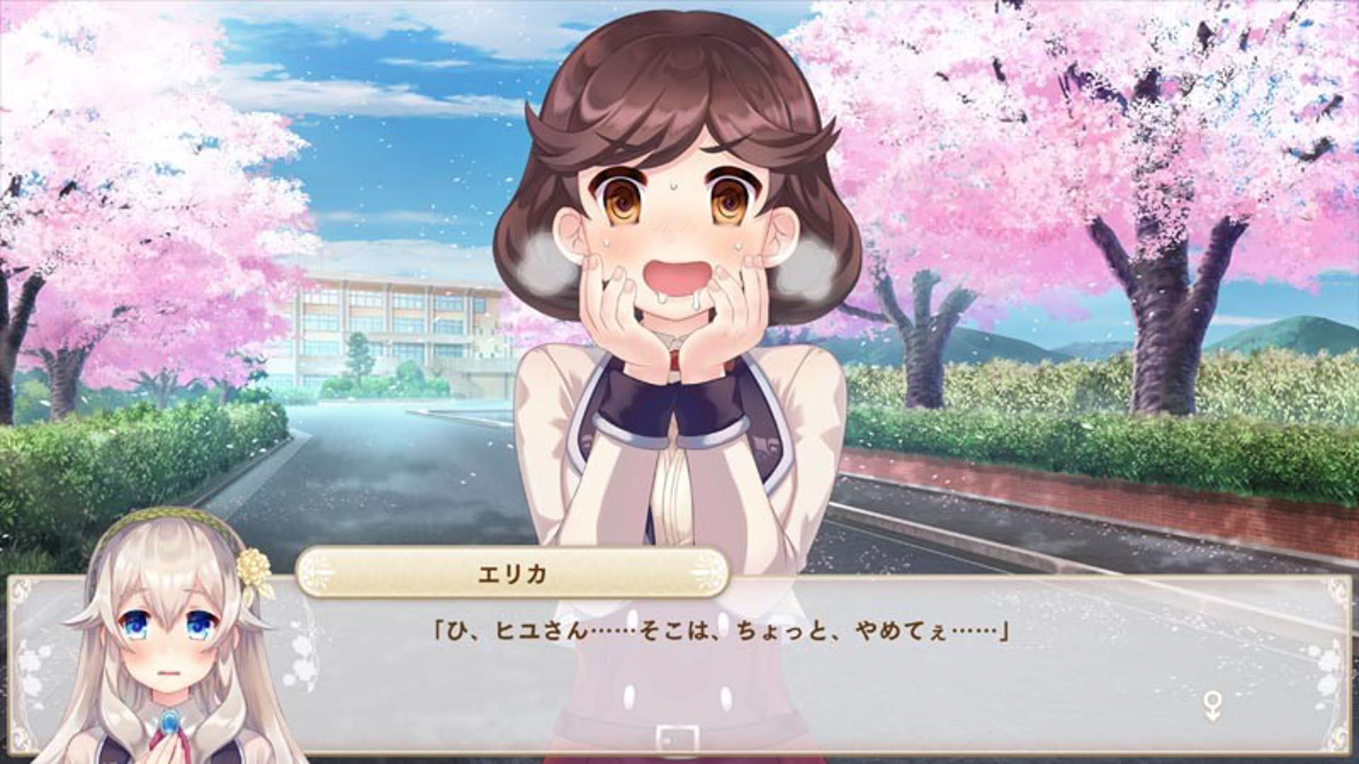 Screenshot for Bokuhime Project