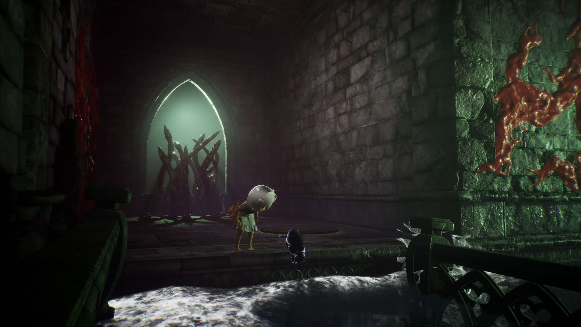 Screenshot for Light: Black Cat & Amnesia Girl