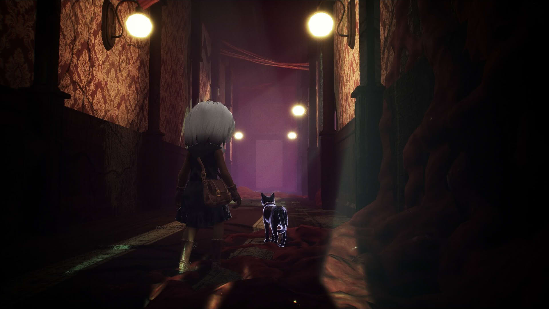 Screenshot for Light: Black Cat & Amnesia Girl