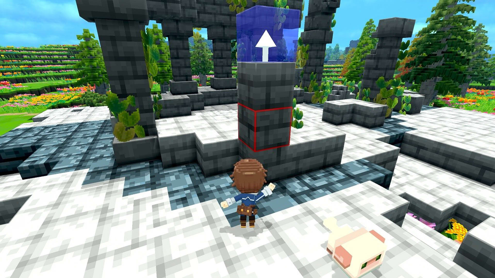Screenshot for Teravit