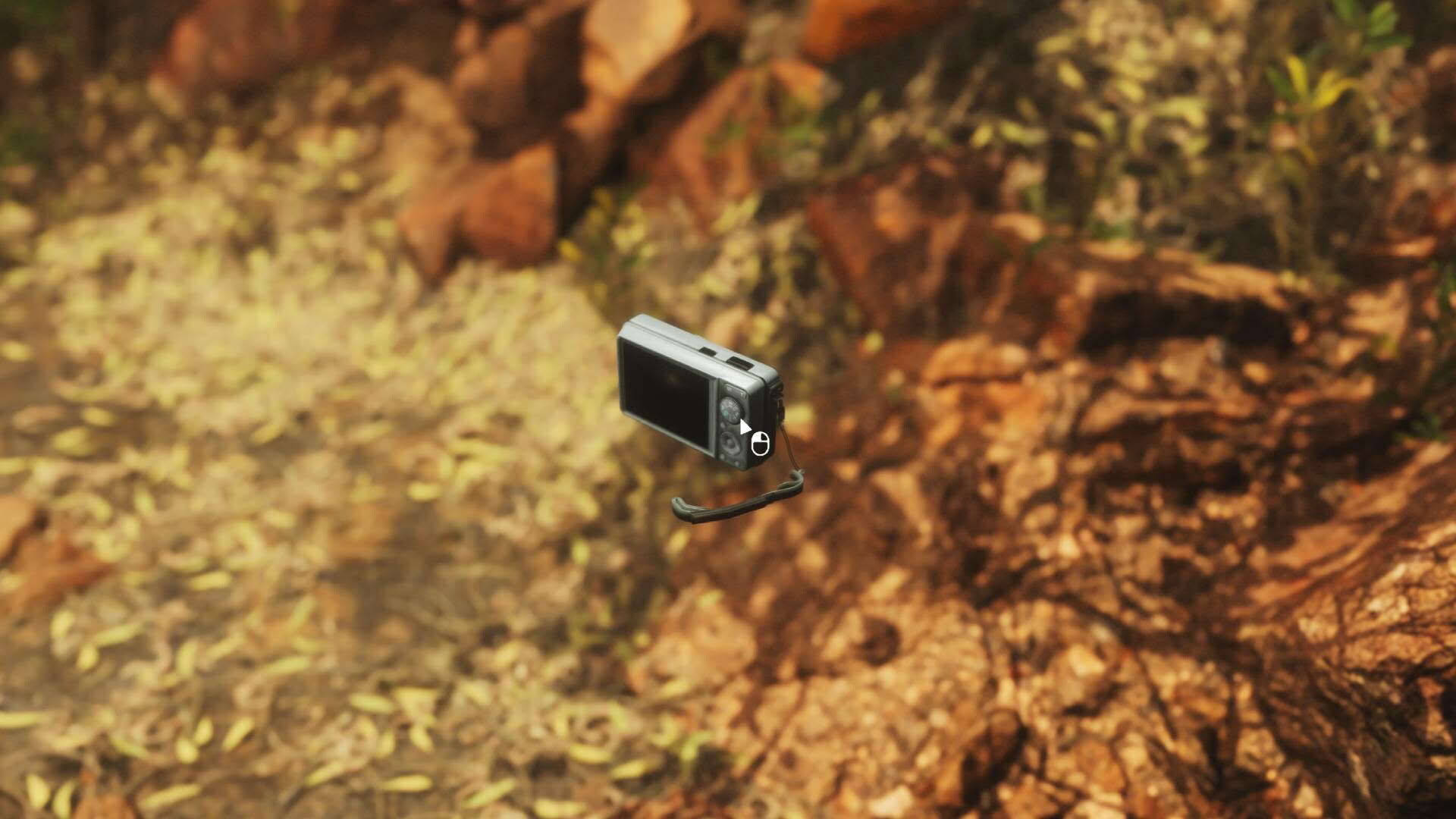 Screenshot for Lushfoil Photography Sim