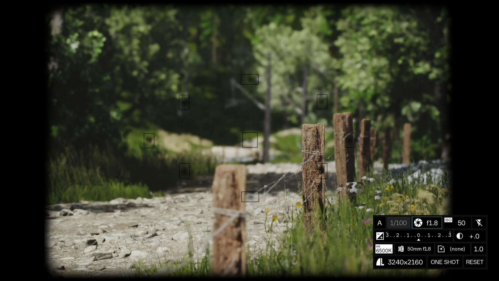 Screenshot for Lushfoil Photography Sim