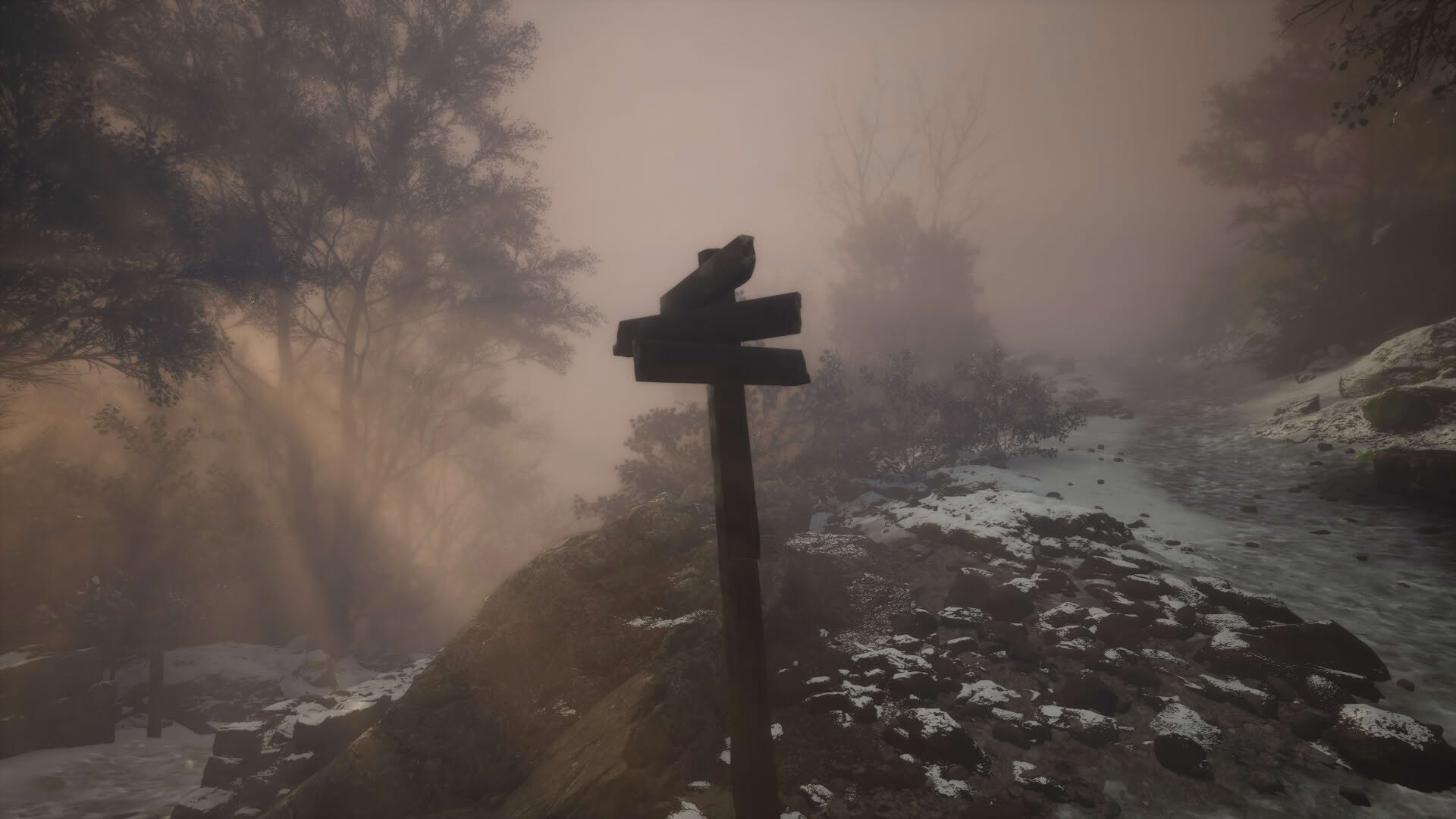 Screenshot for Lushfoil Photography Sim