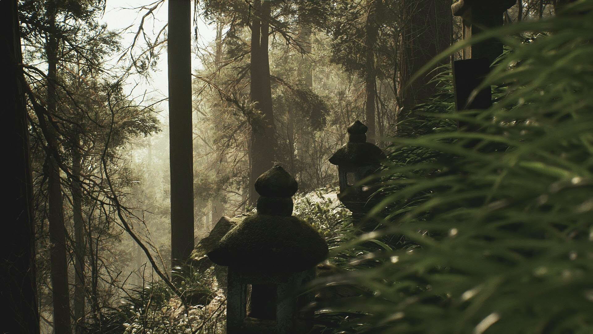 Screenshot for Lushfoil Photography Sim