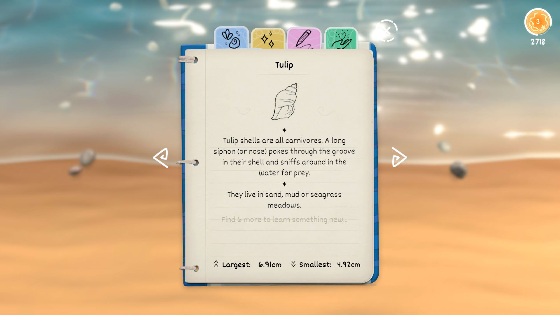 Screenshot for Seashell
