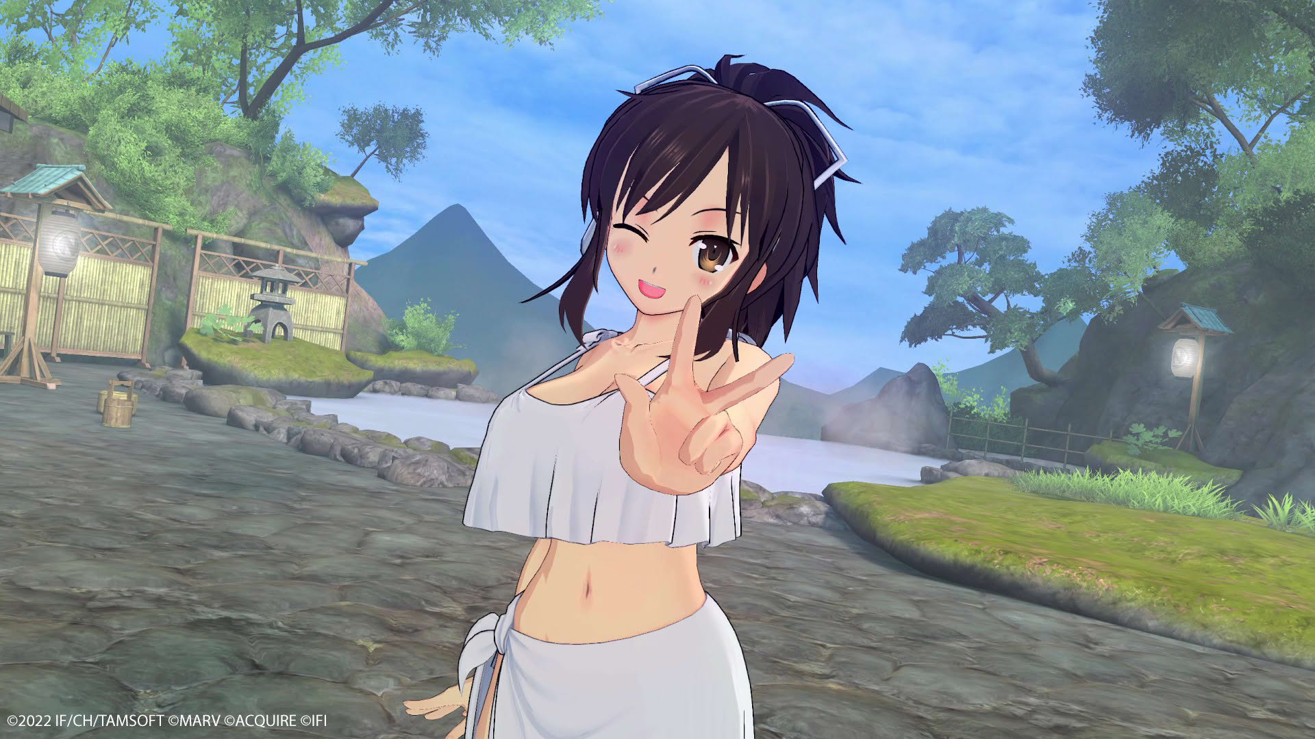 Screenshot for Neptunia x Senran Kagura: Ninja Wars