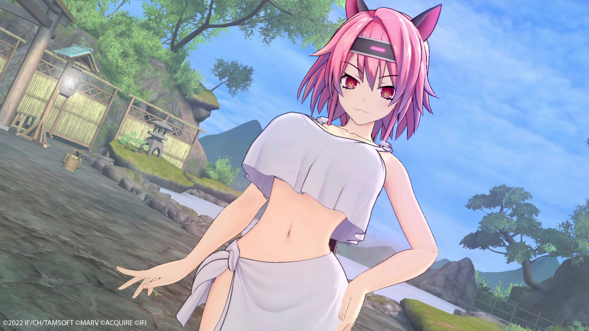 Screenshot for Neptunia x Senran Kagura: Ninja Wars