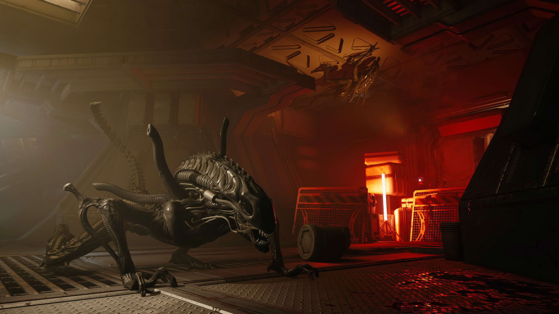 Screenshot for Alien: Rogue Incursion