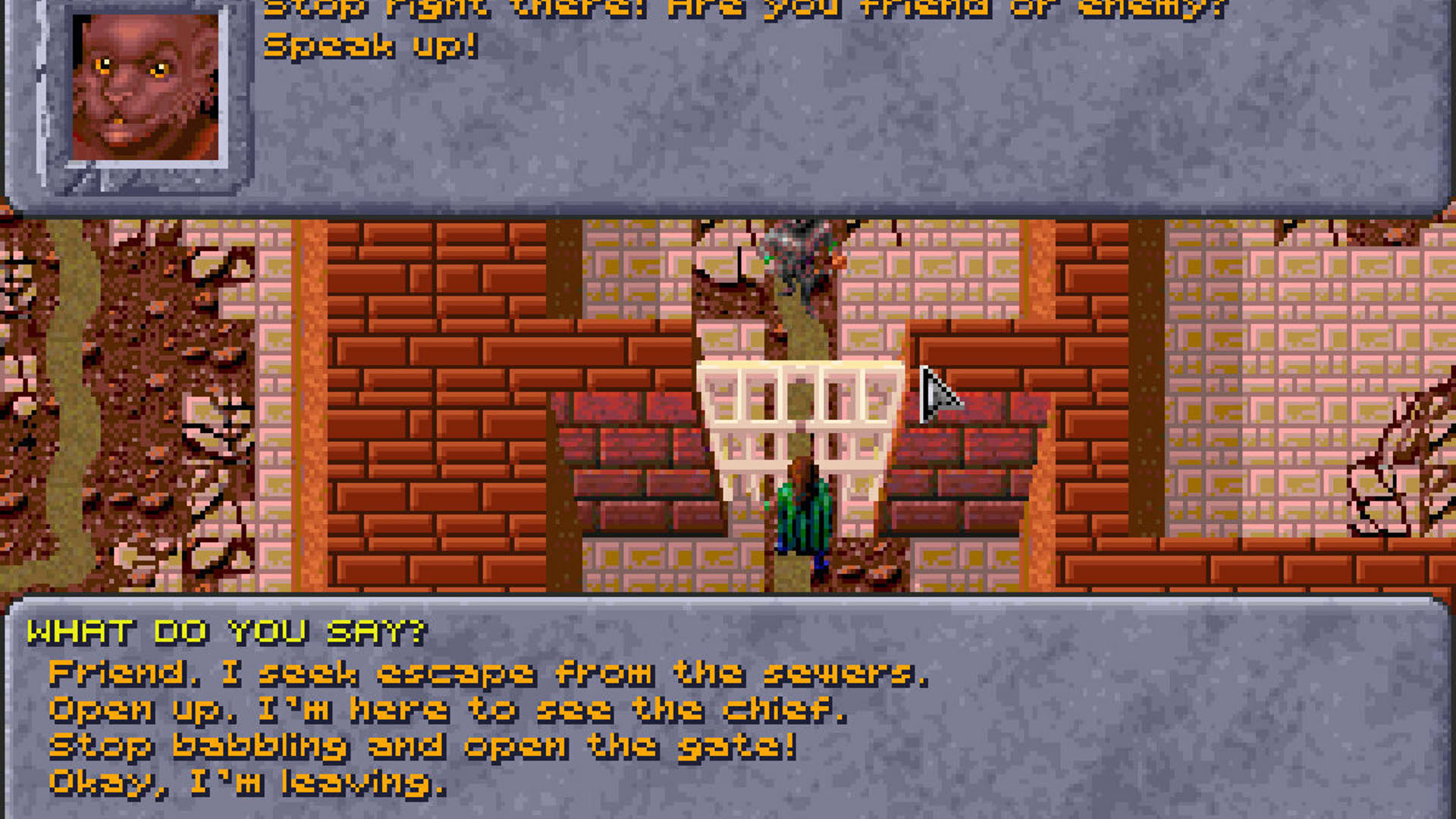 Screenshot for Al-Qadim: The Genie's Curse