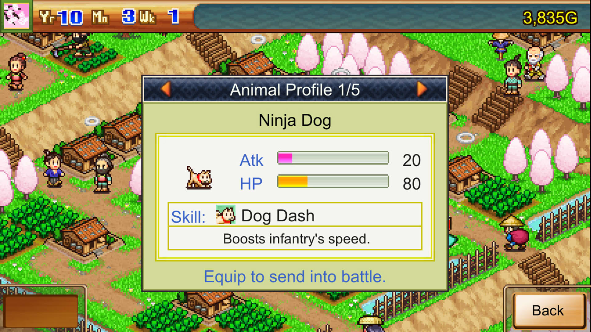 Screenshot for Ninja Village
