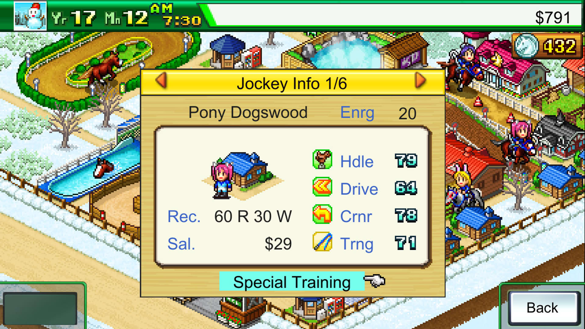 Screenshot for Pocket Stables
