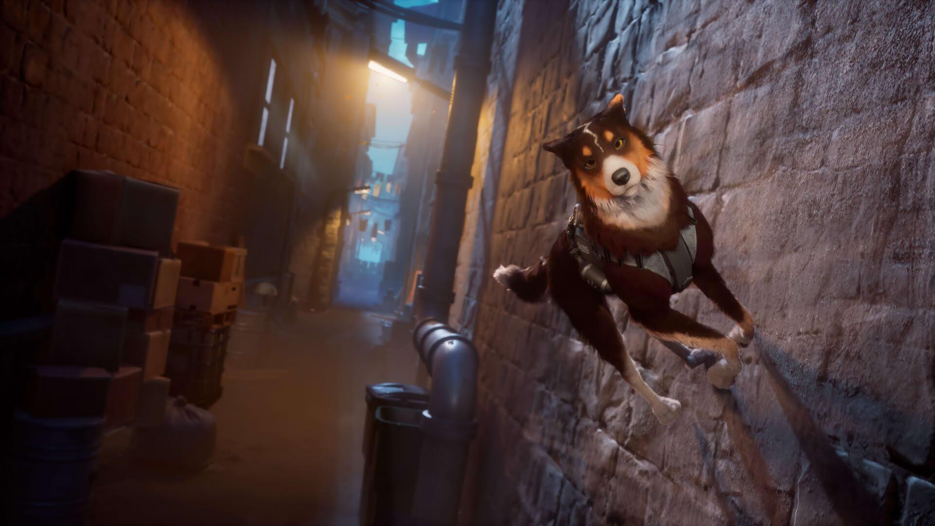 Screenshot for Barkour