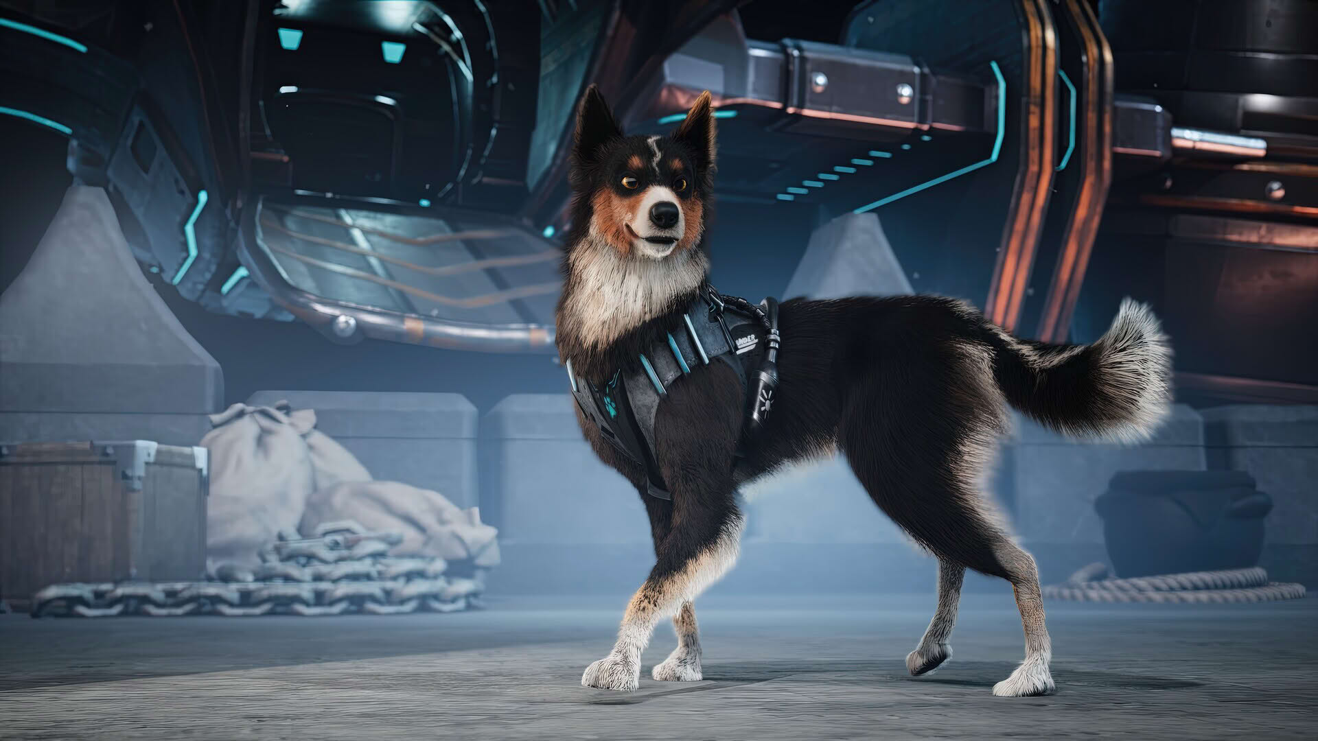 Screenshot for Barkour