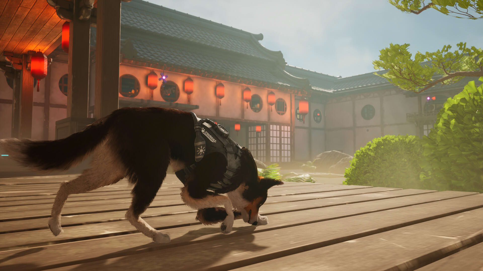 Screenshot for Barkour