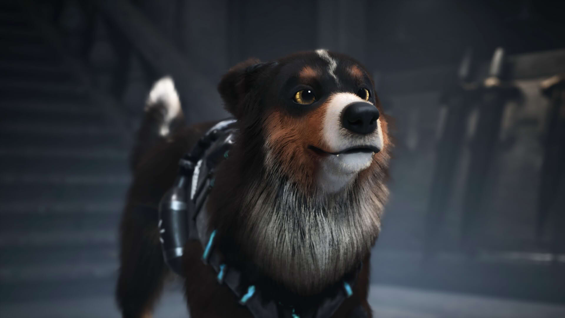 Screenshot for Barkour