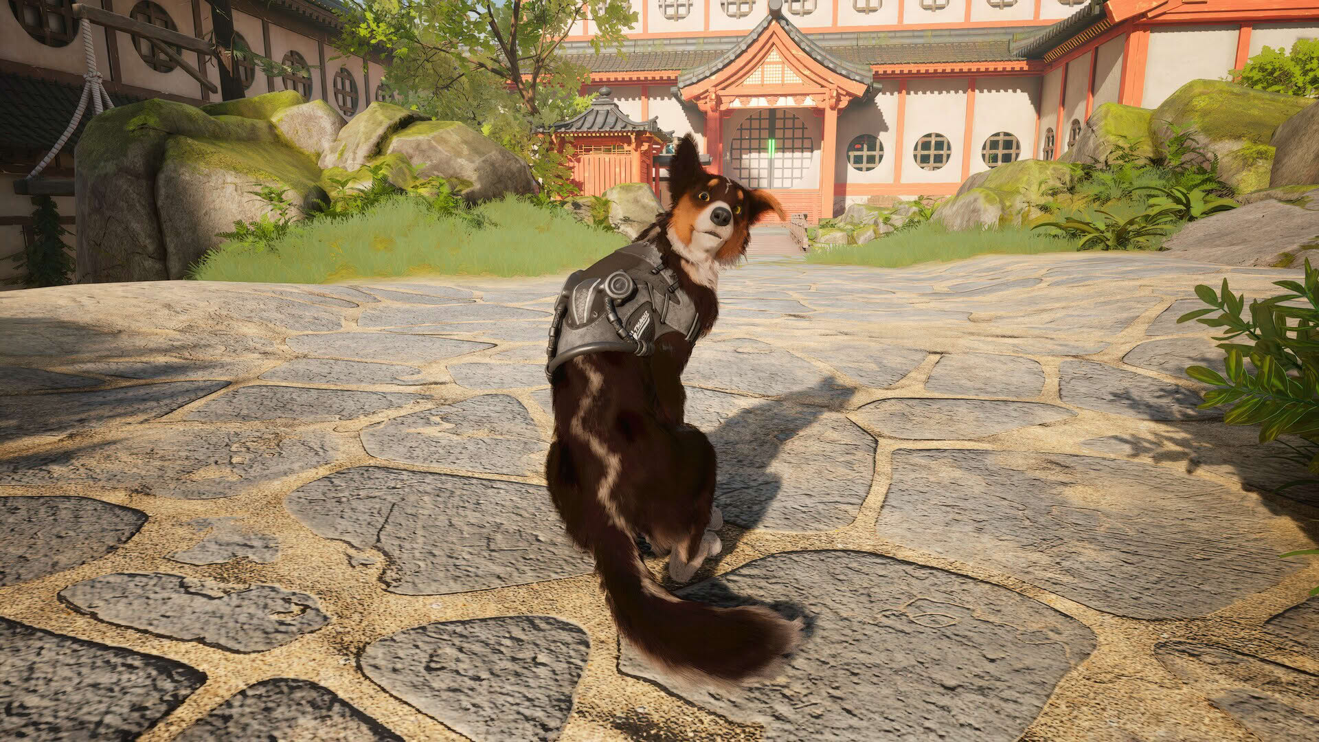Screenshot for Barkour