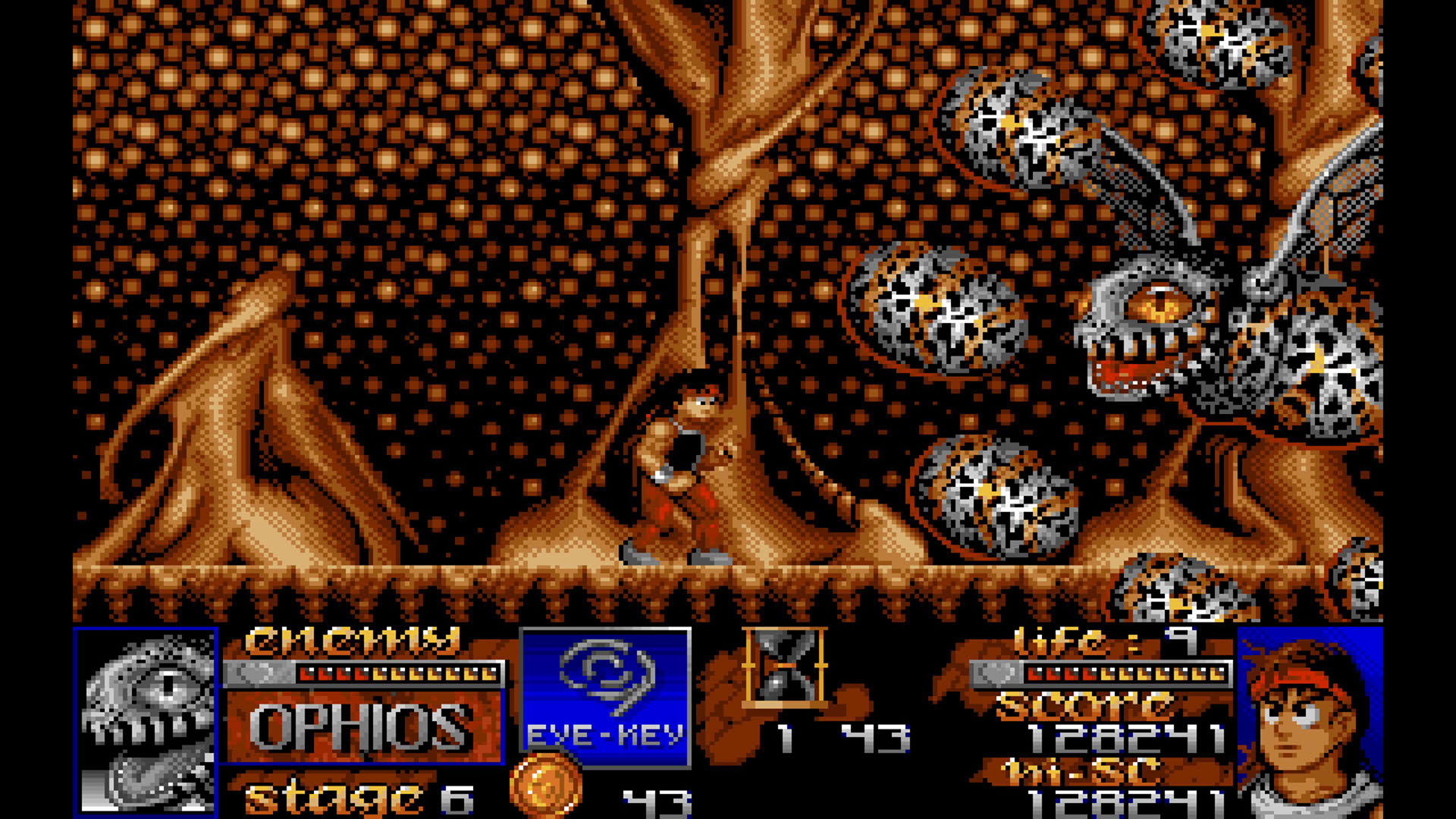 Screenshot for Risky Woods