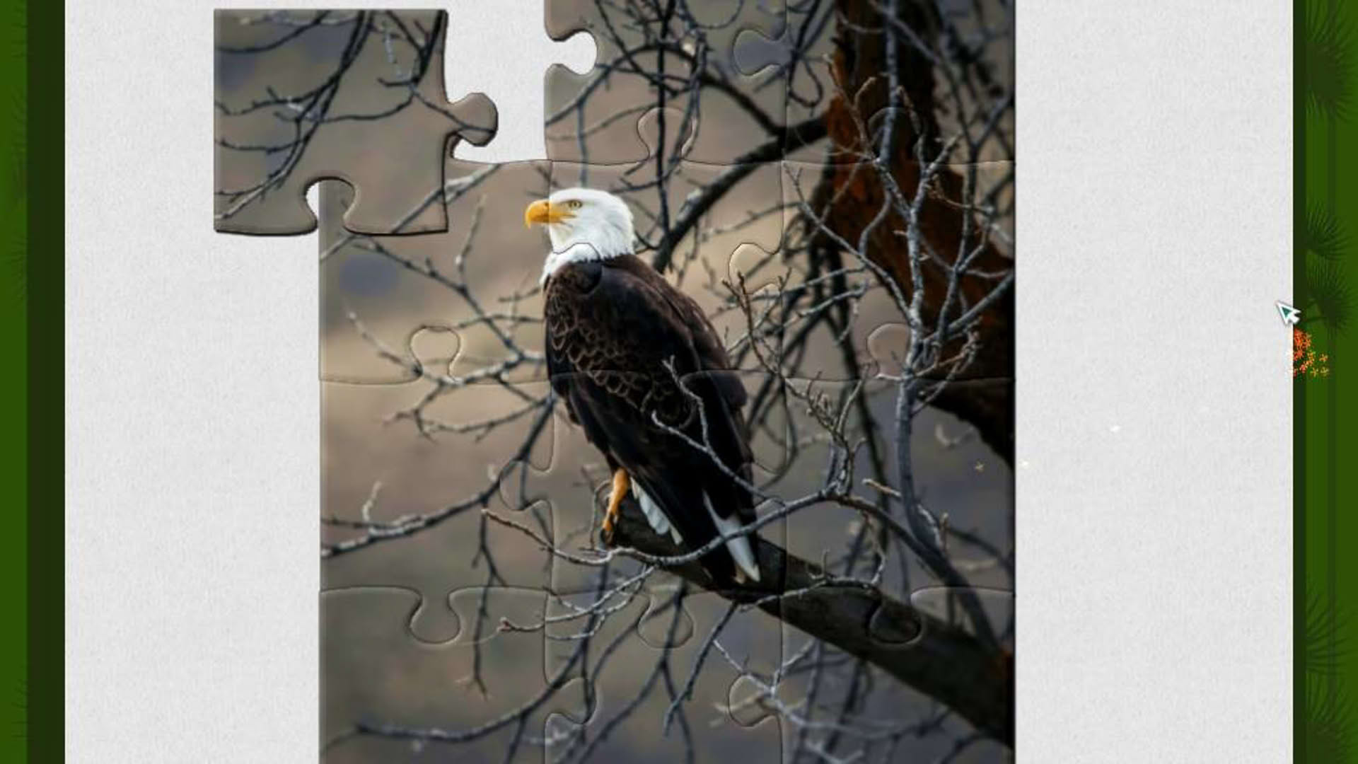 Screenshot for 1001 Jigsaw: Wild Animals