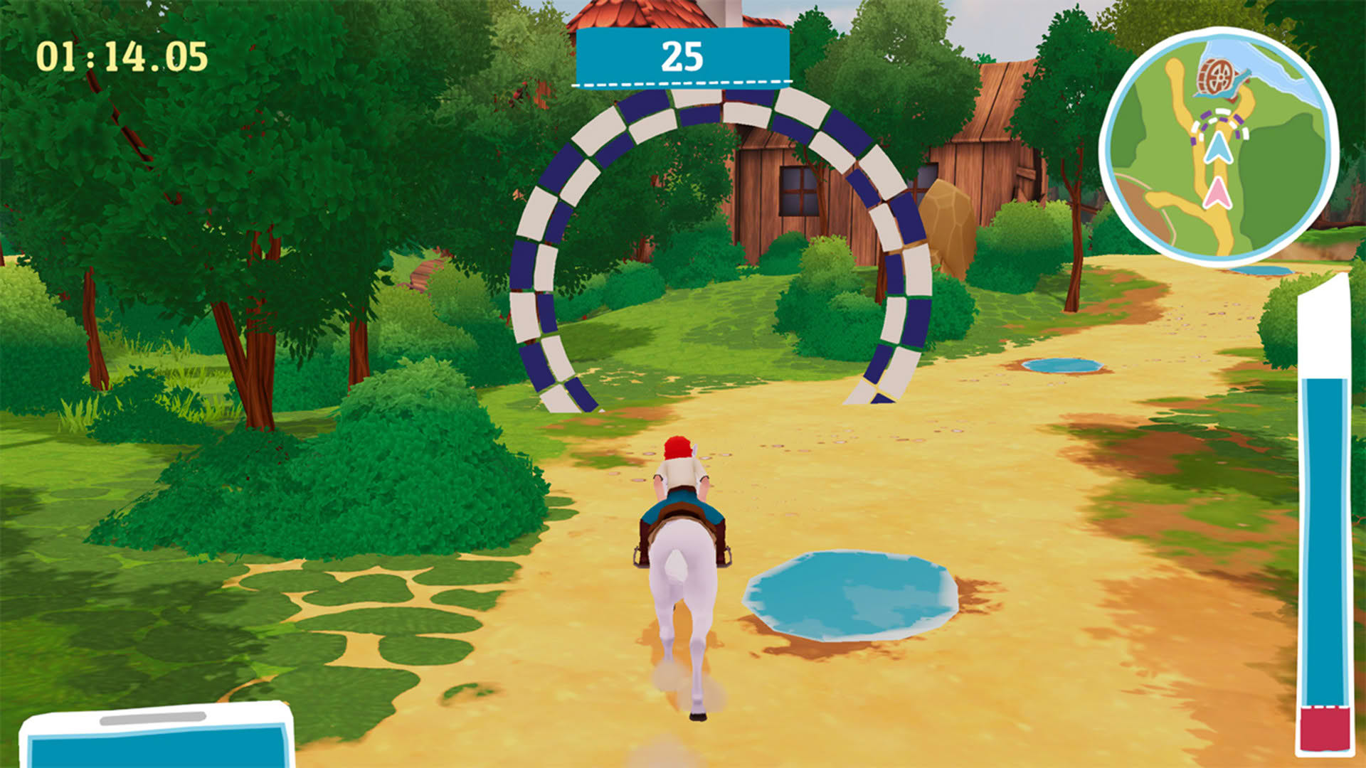 Screenshot for Bibi & Tina: New Adventures with Horses