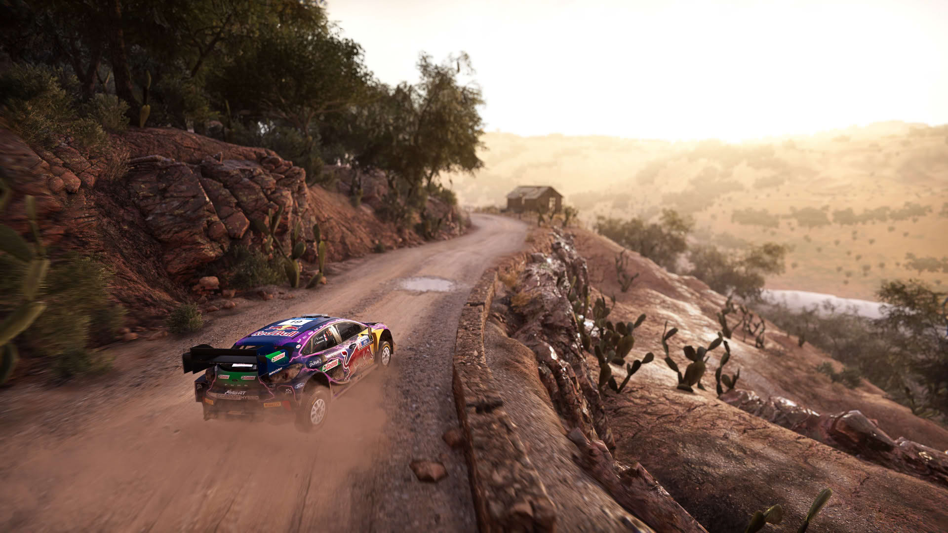 Screenshot for WRC Generations