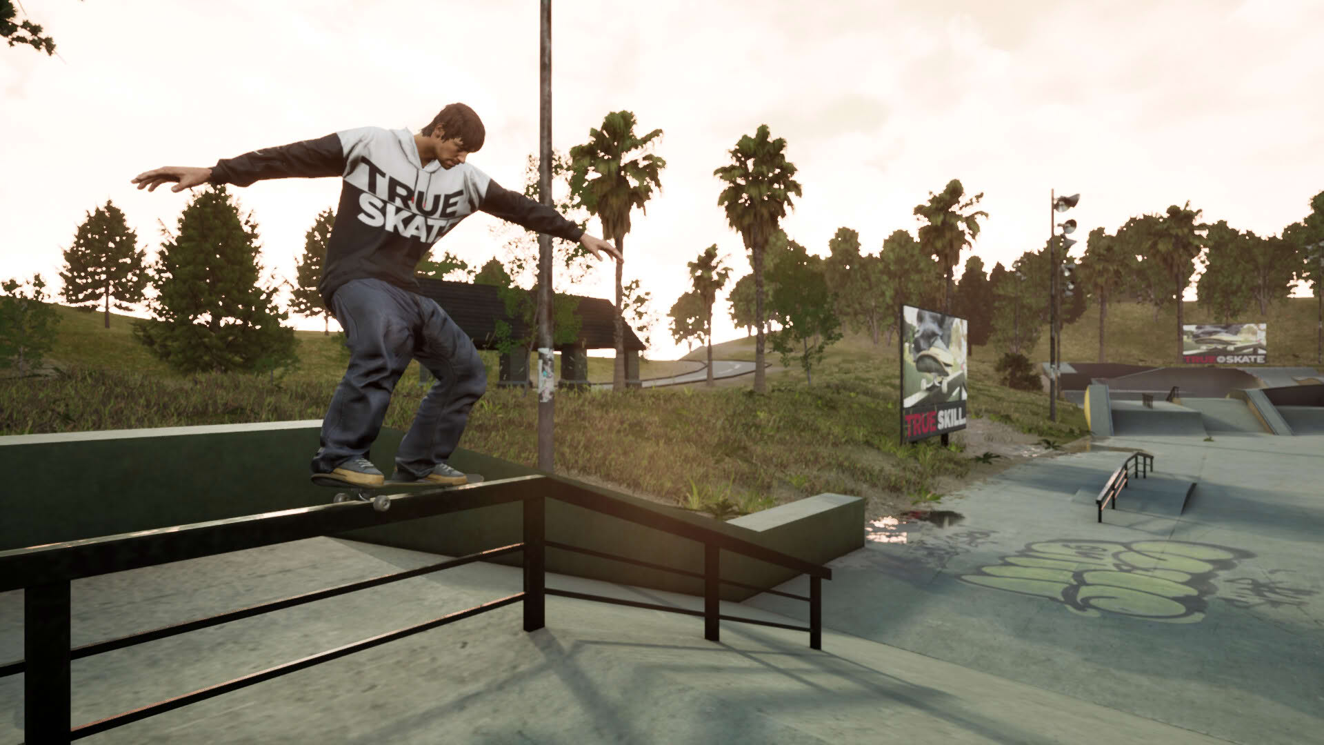Screenshot for True Skate