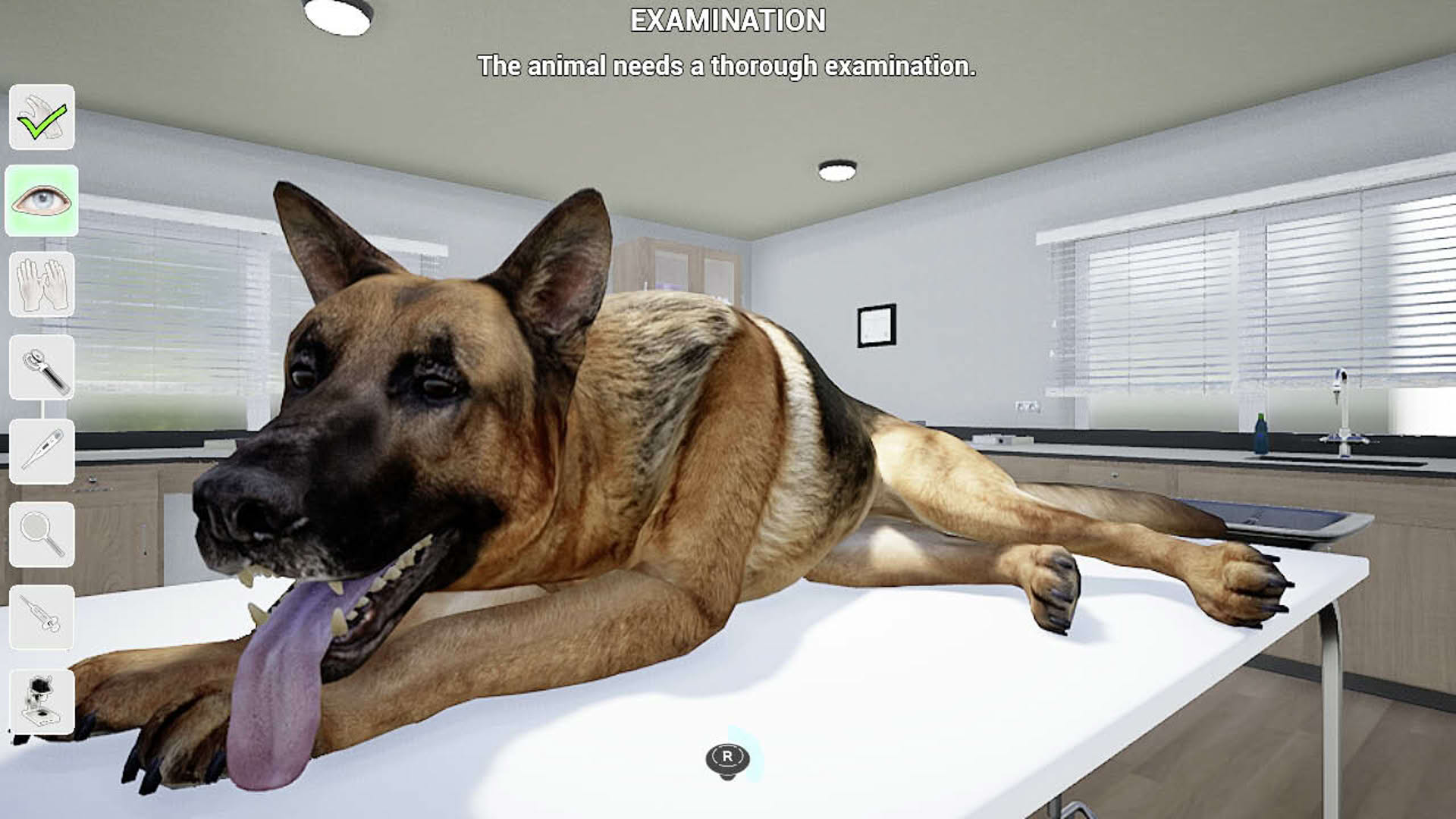Screenshot for My Life: Pet Vet