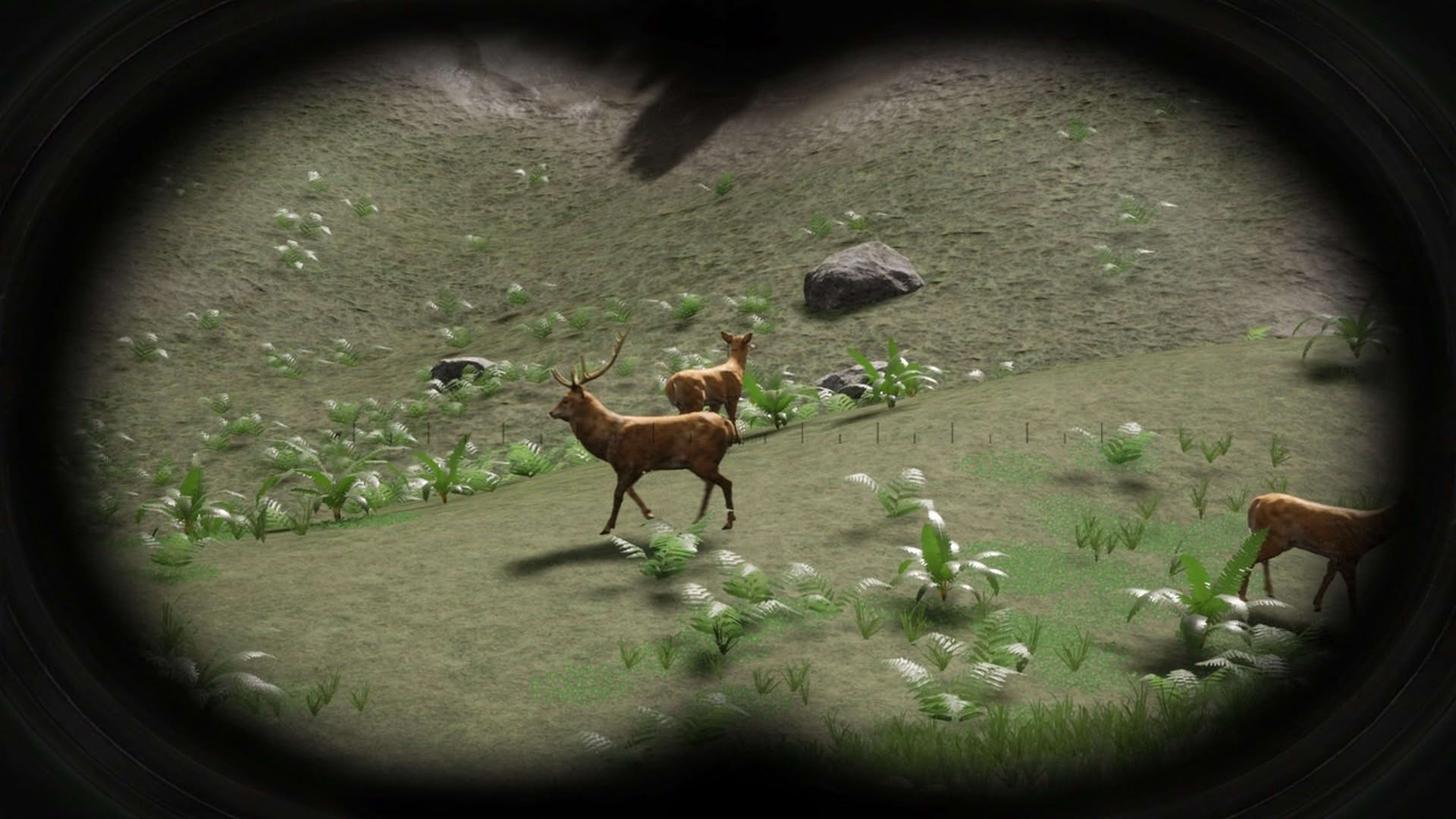 Screenshot for Russian Hunter