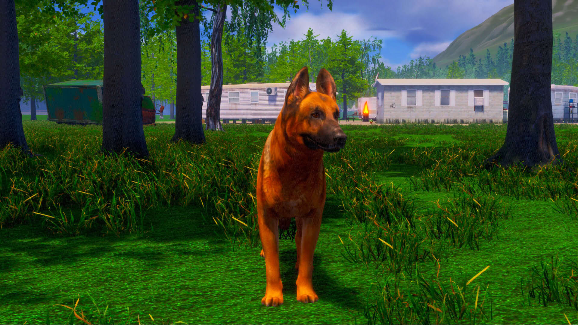 Screenshot for Lost Paws