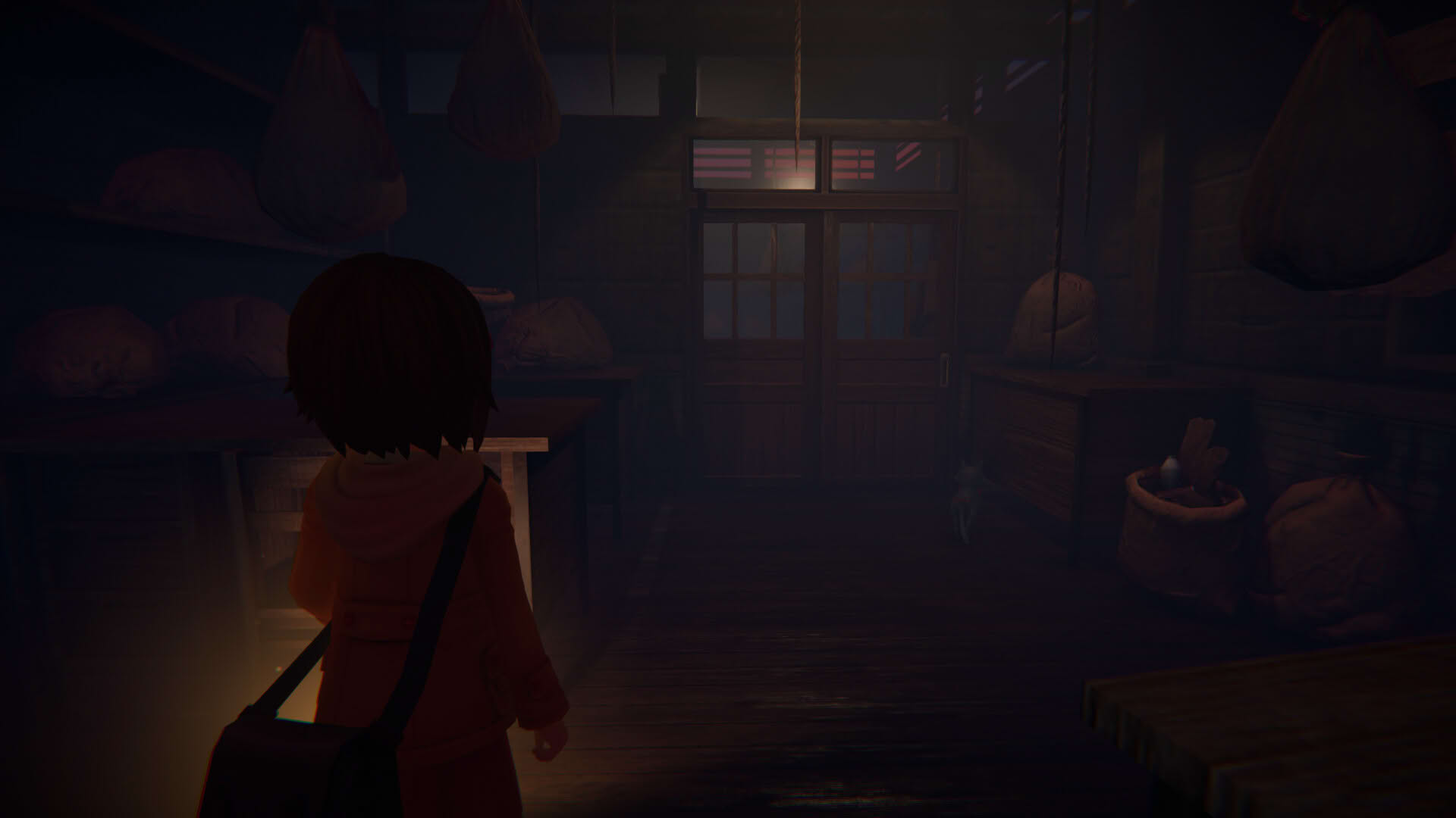 Screenshot for Narin: The Orange Room