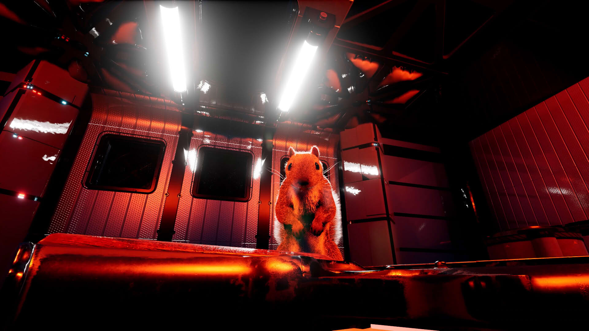 Screenshot for Squirrel with a Gun
