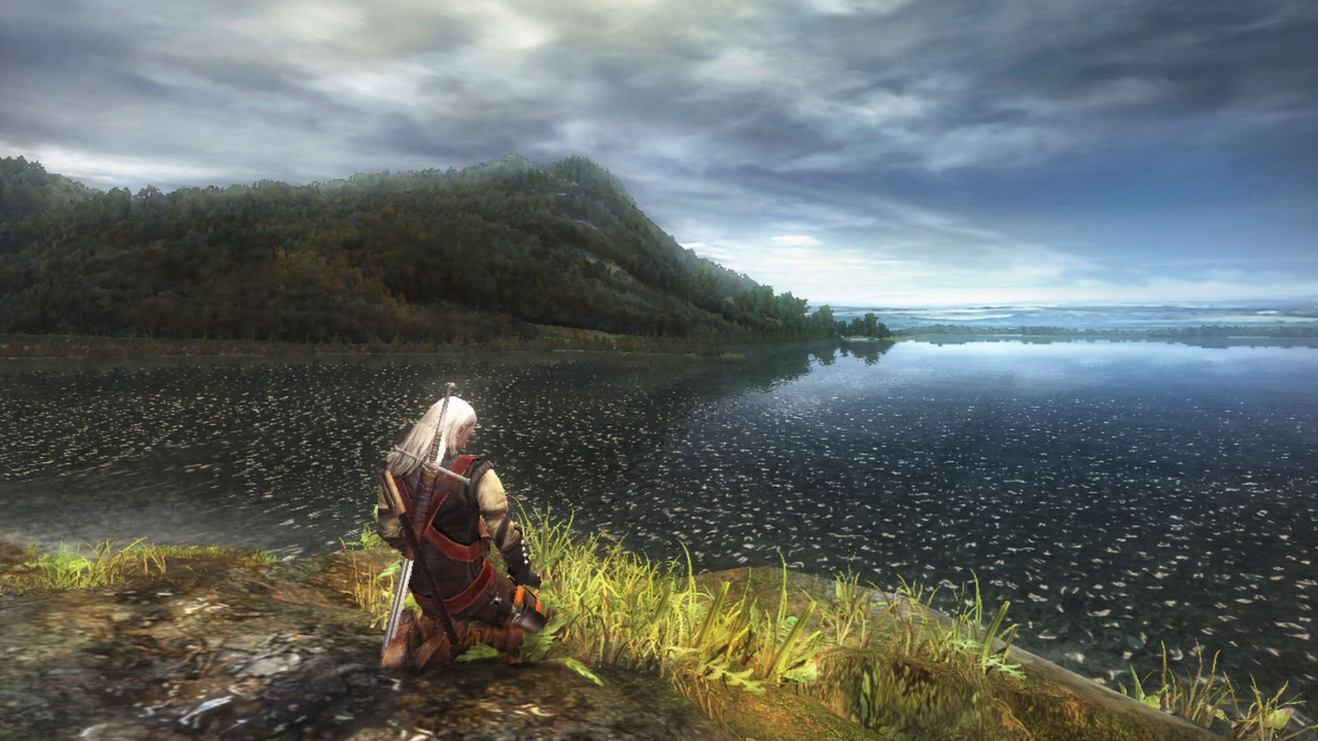 Screenshot for The Witcher