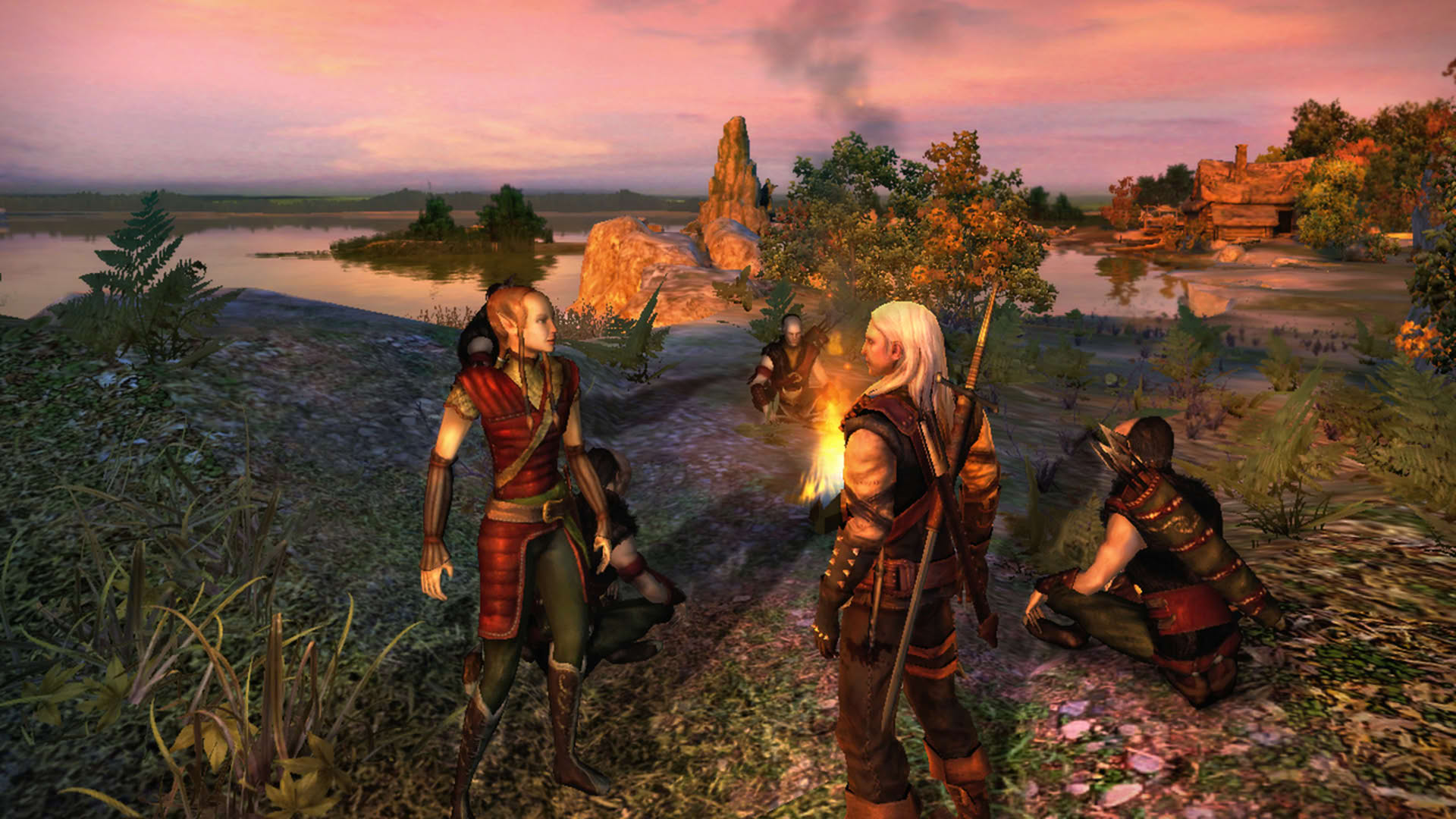 Screenshot for The Witcher