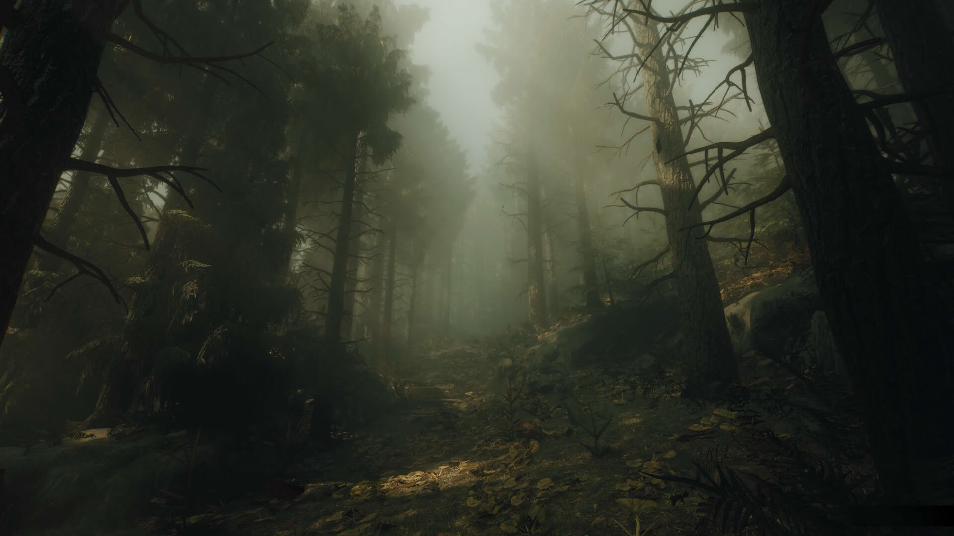 Screenshot for The Occultist