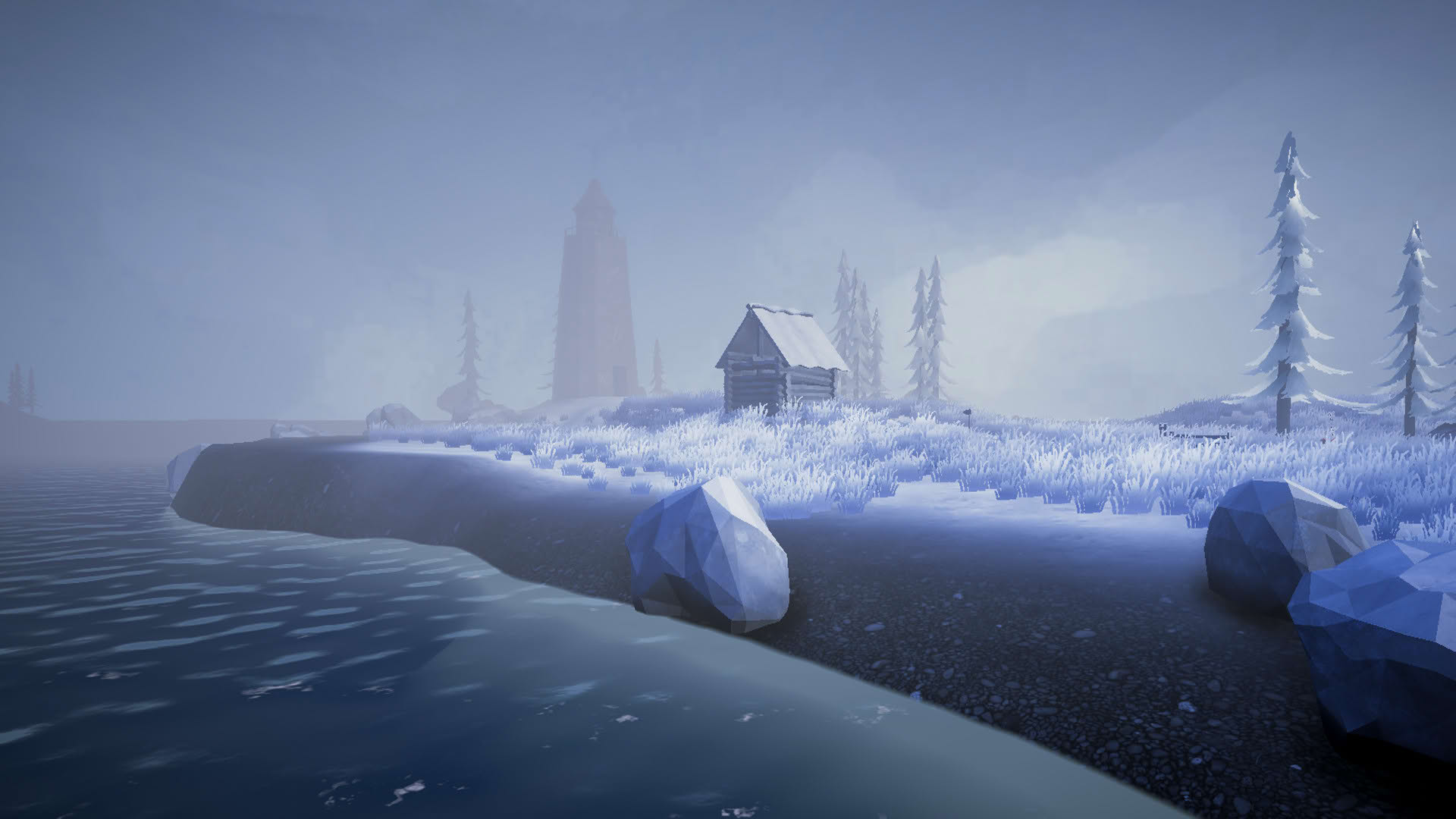 Screenshot for The Cold Forest