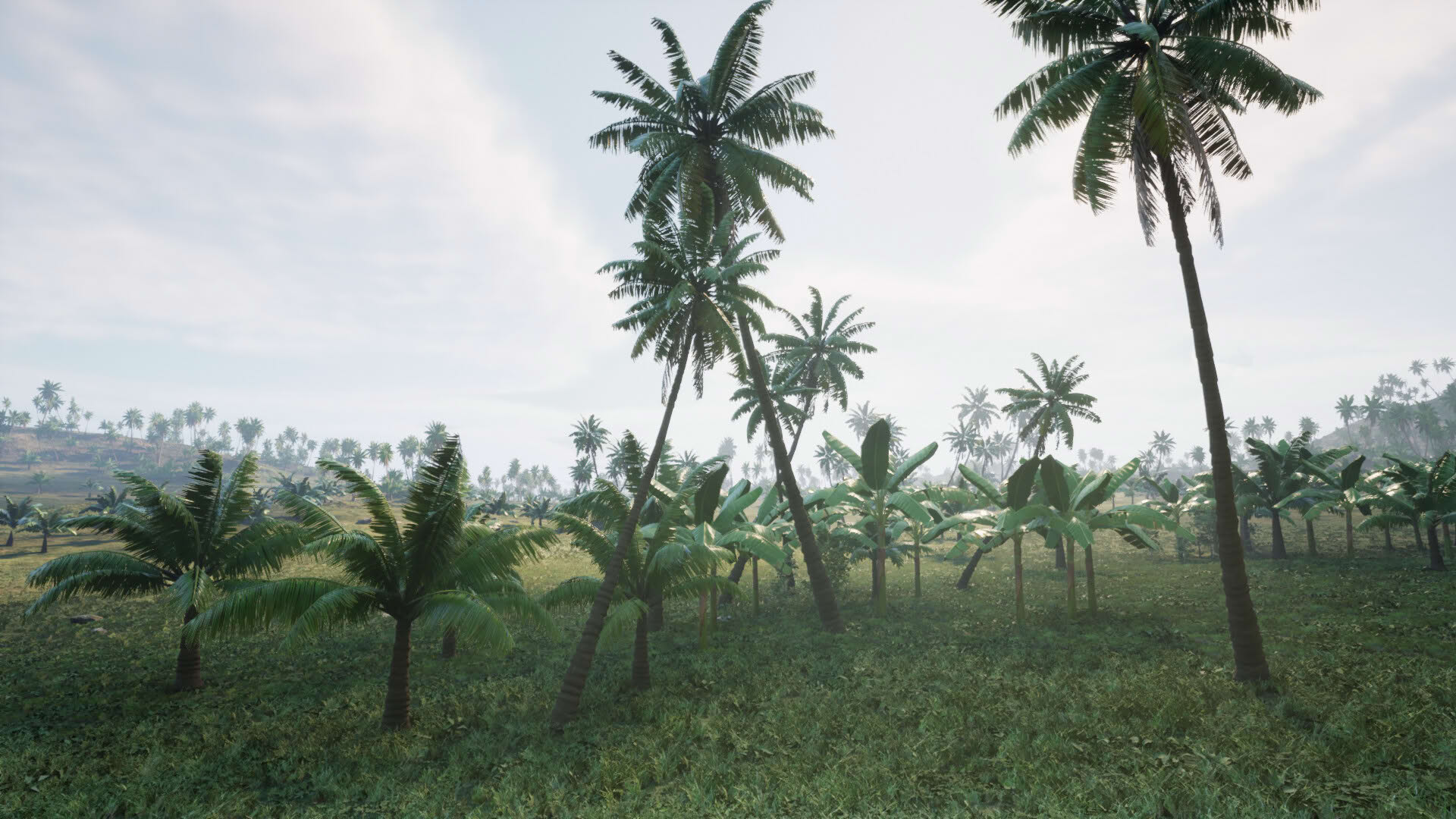 Screenshot for Pirates Journey