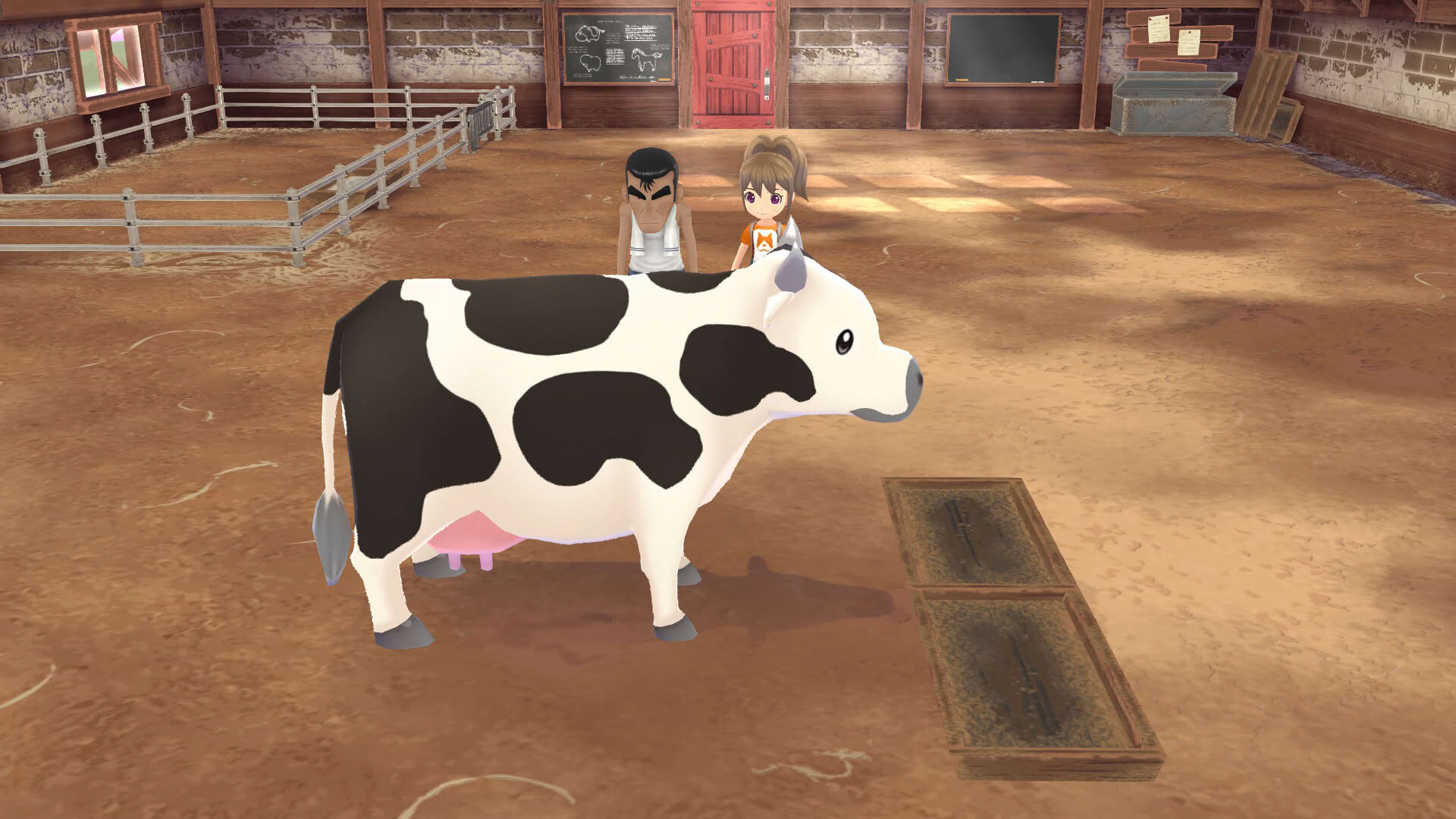 Screenshot for Story of Seasons: A Wonderful Life