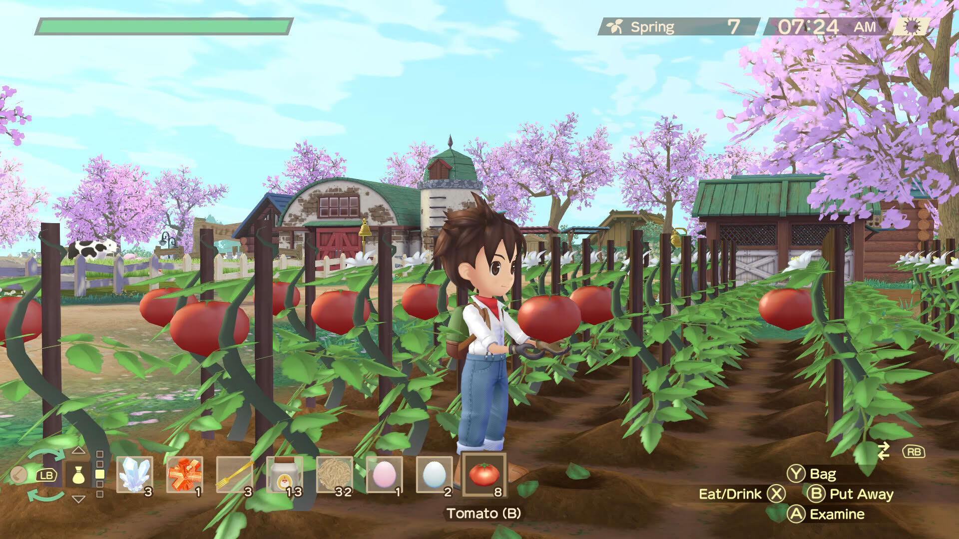 Screenshot for Story of Seasons: A Wonderful Life