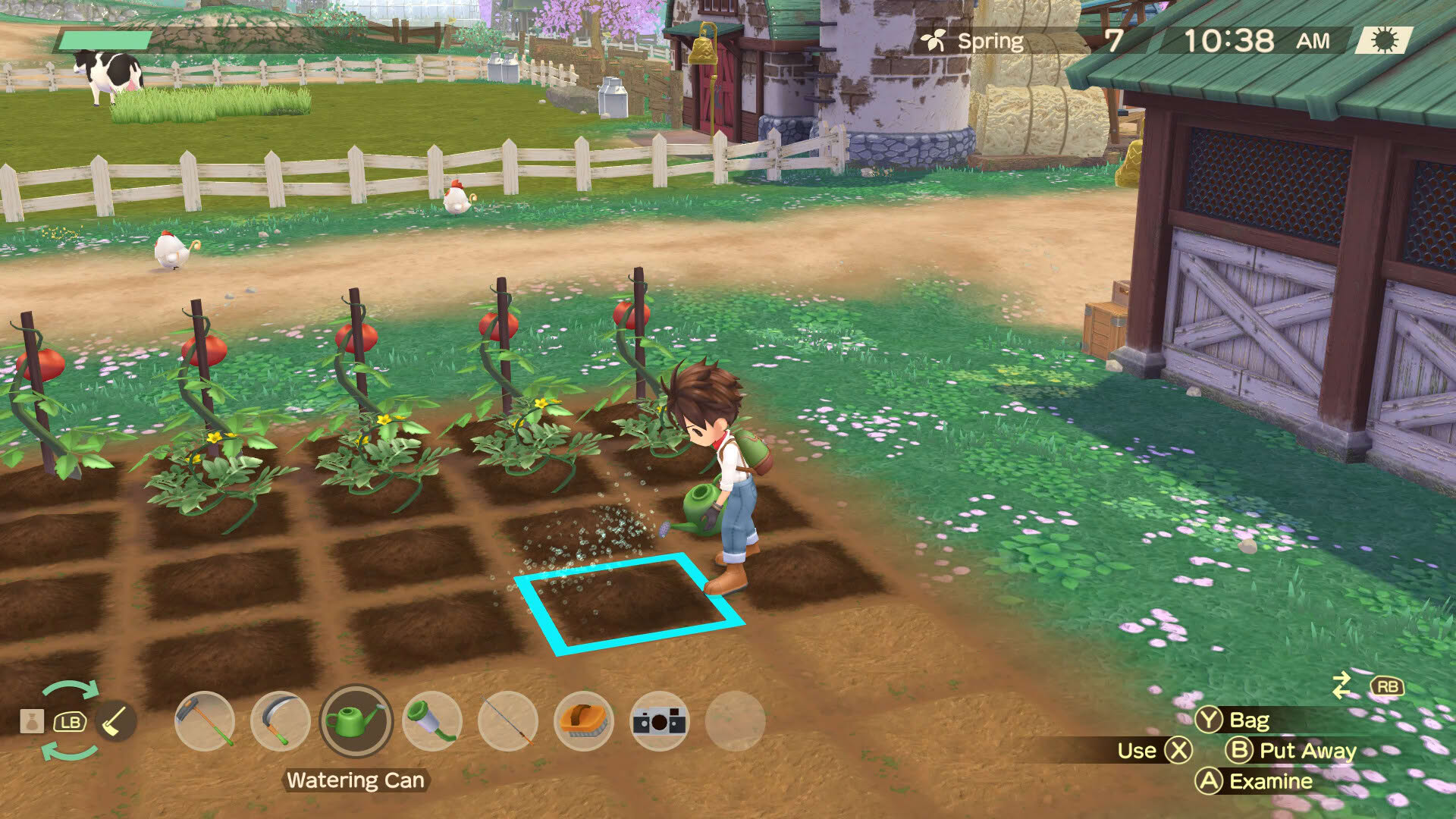 Screenshot for Story of Seasons: A Wonderful Life