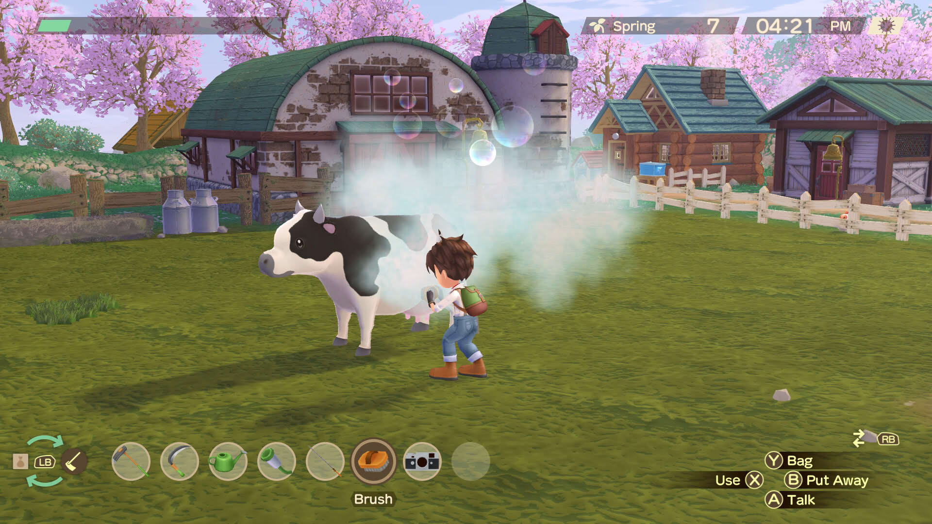 Screenshot for Story of Seasons: A Wonderful Life
