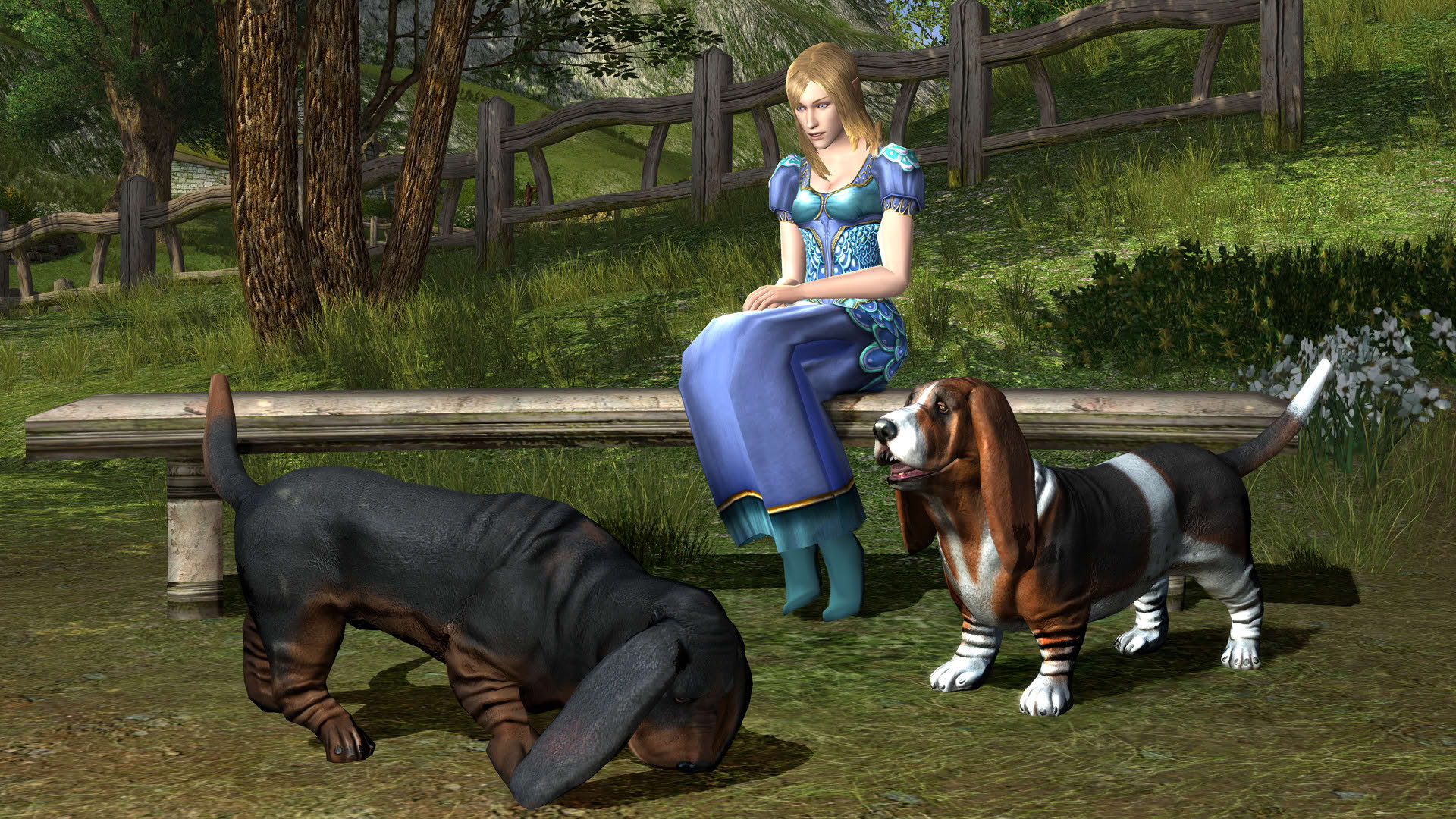Screenshot for The Lord of the Rings Online